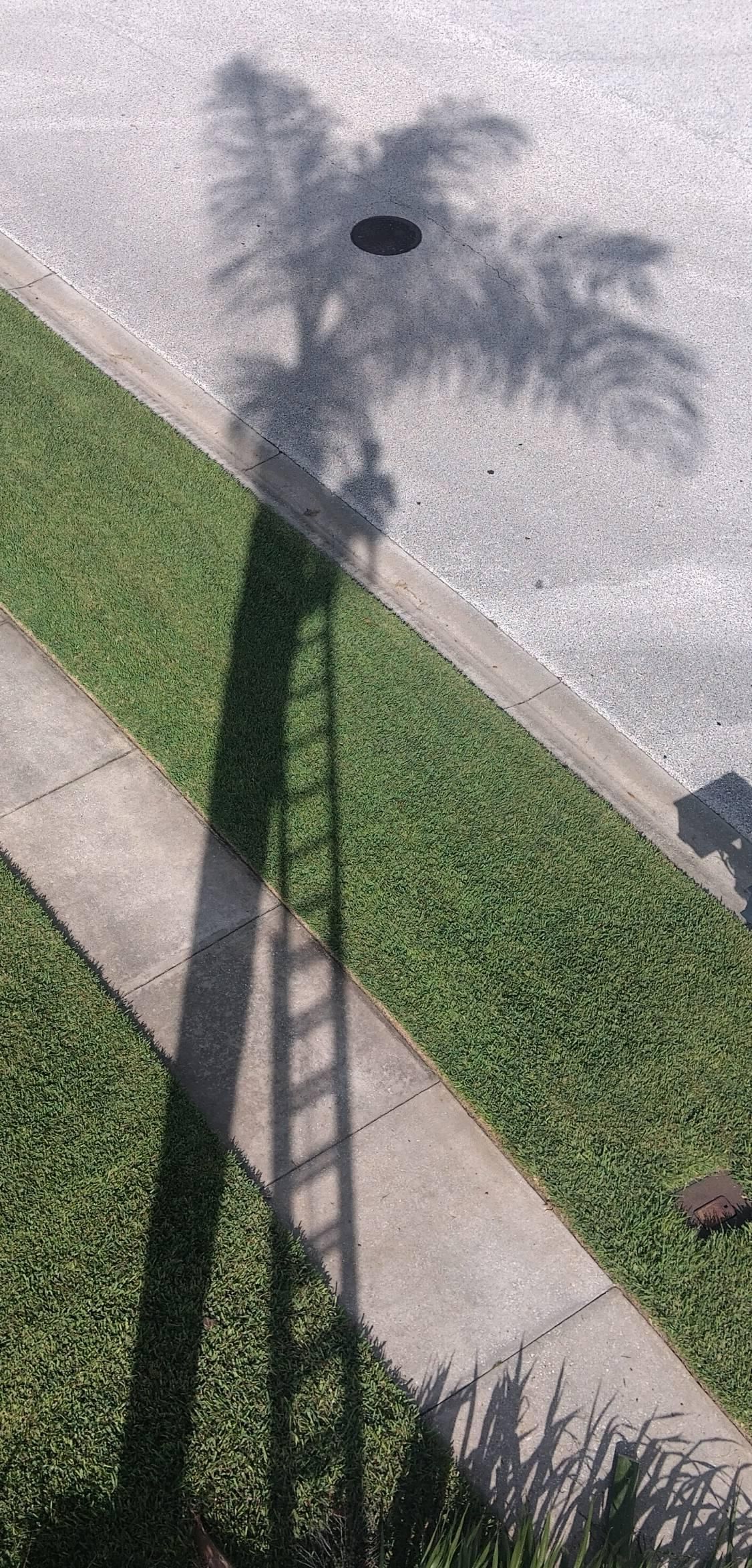  for Bills Tree Service in Valrico, FL