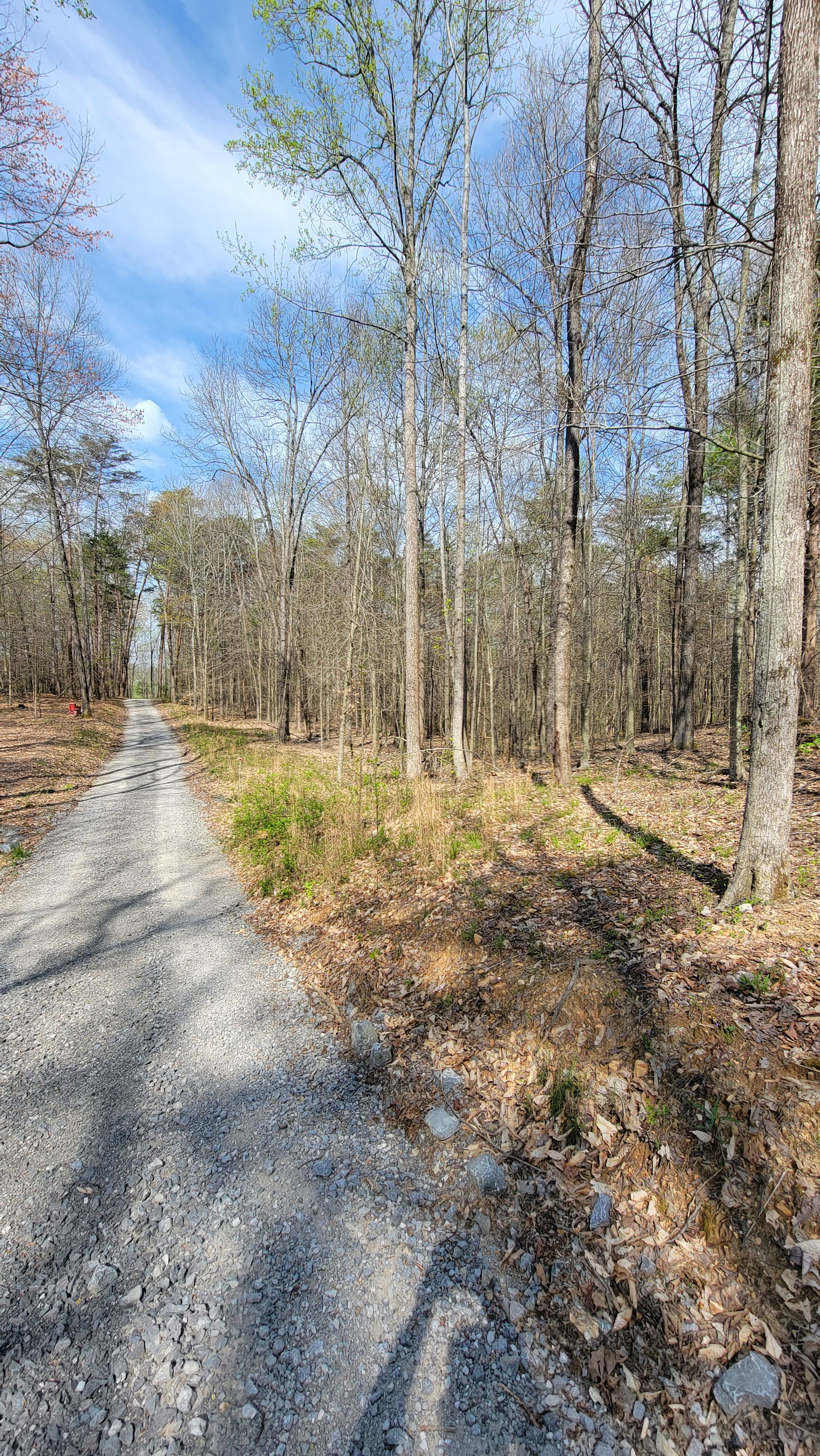  for Z's Land Management & Forestry Mulching in Smithville, TN