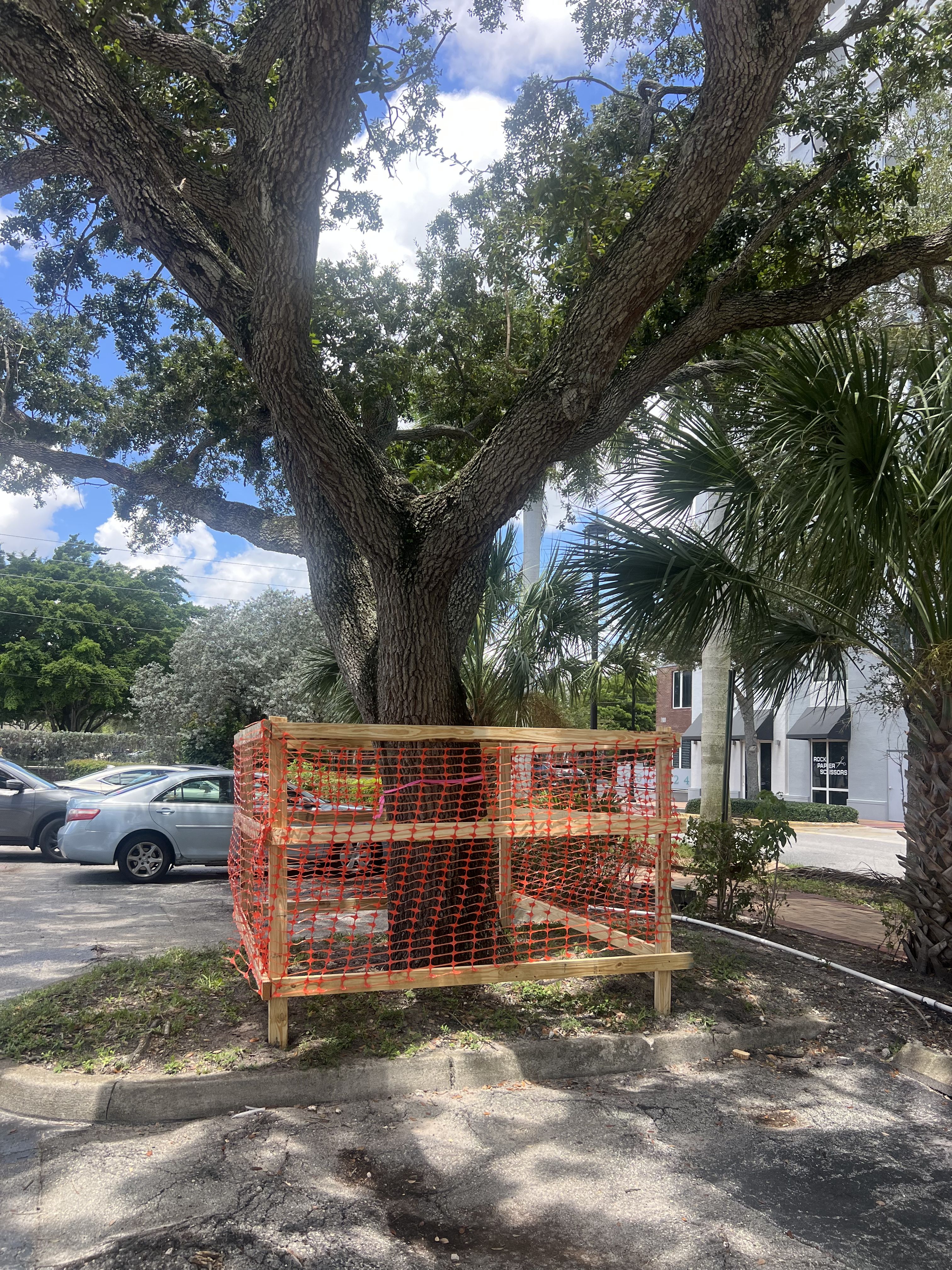  for Bridgewater Arbor Care LLC in Jupiter, FL