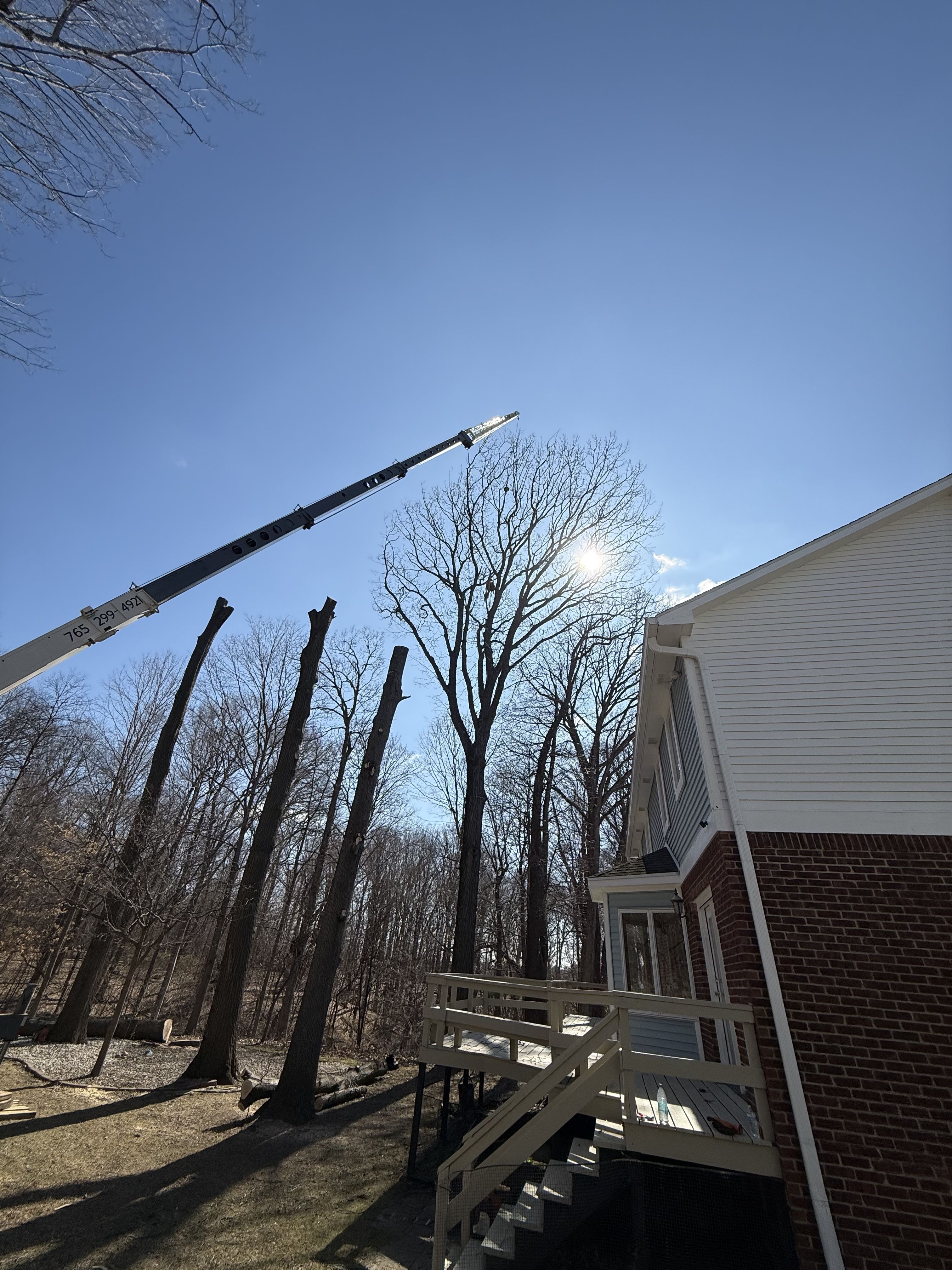  for Advanced Tree Solutions in Rockville, IN