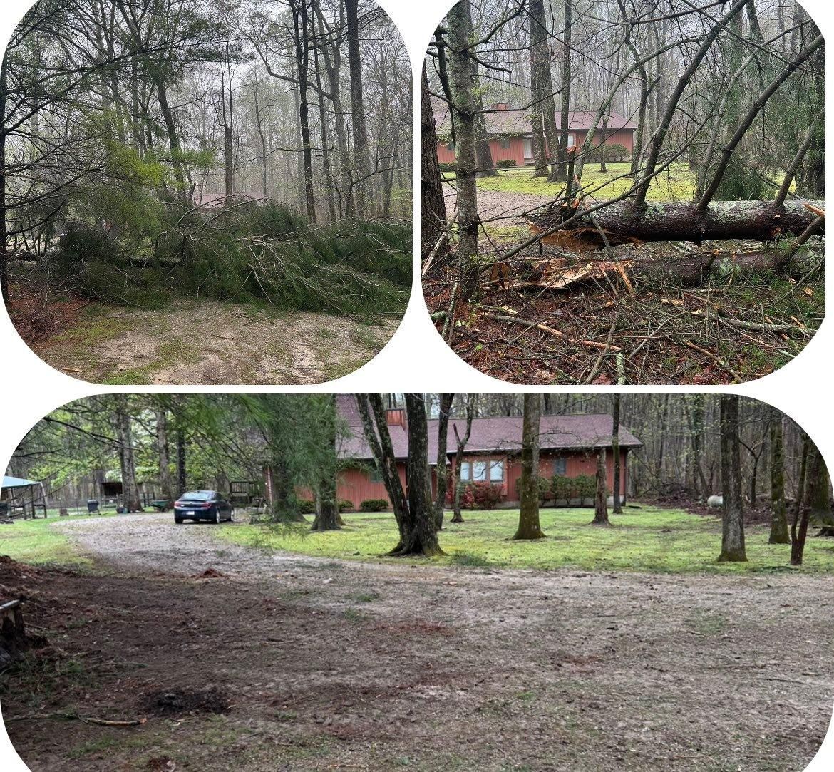  for McBee’s Tree Service in Sewanee, TN