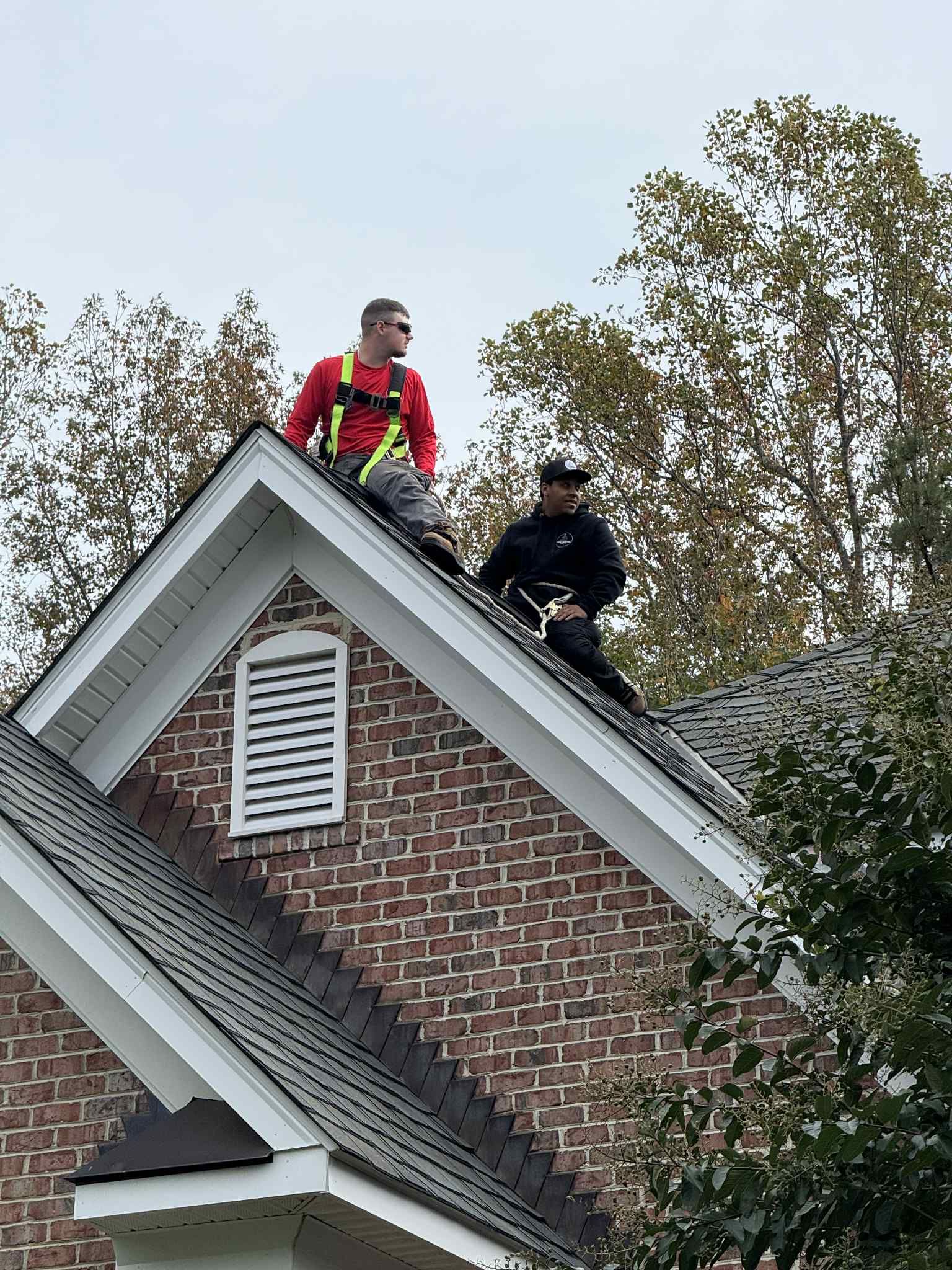  for Elite Lighting Solution in Midlothian, VA