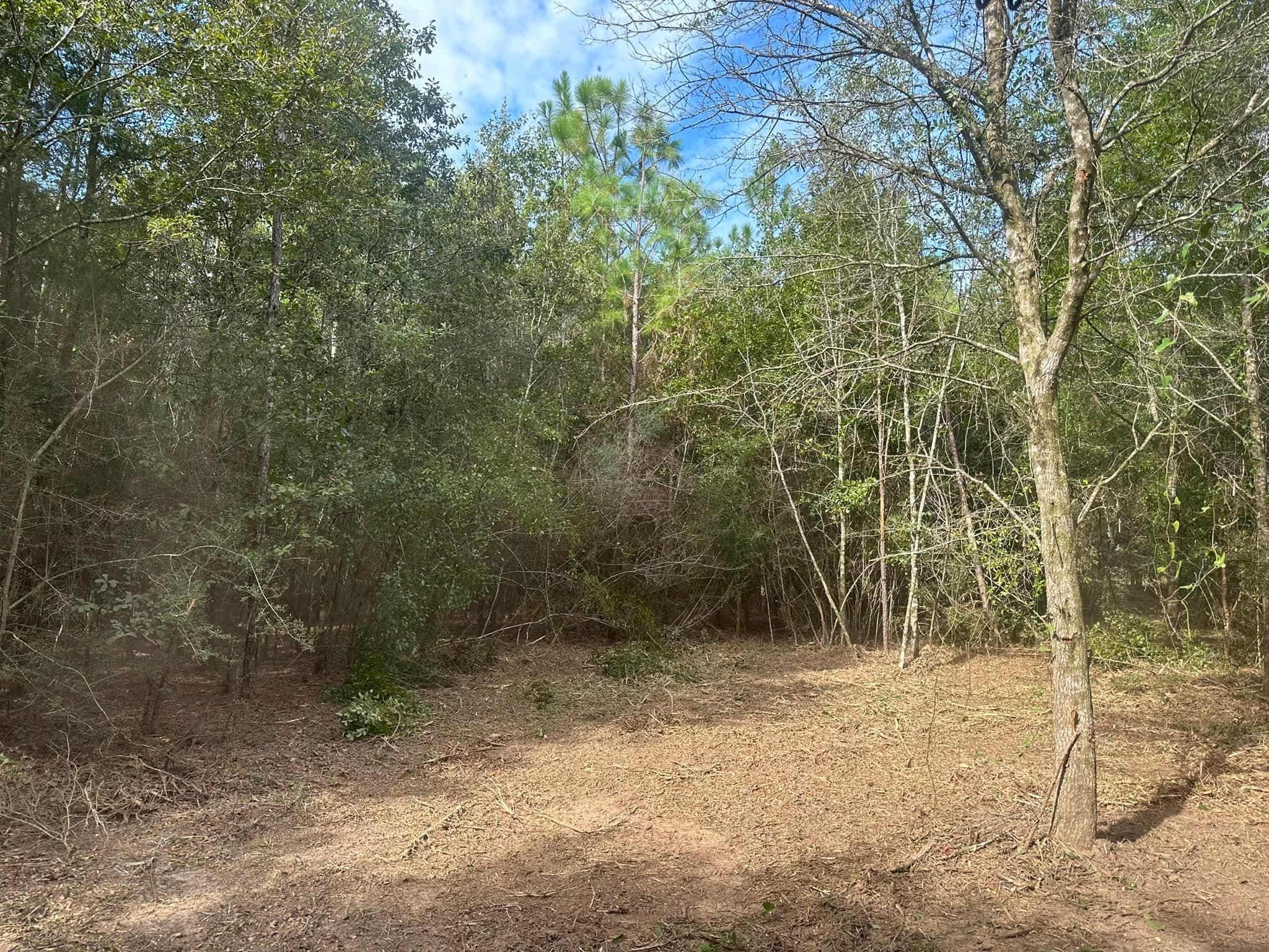 All Photos for White’s Land Maintenance in Milton,, FL