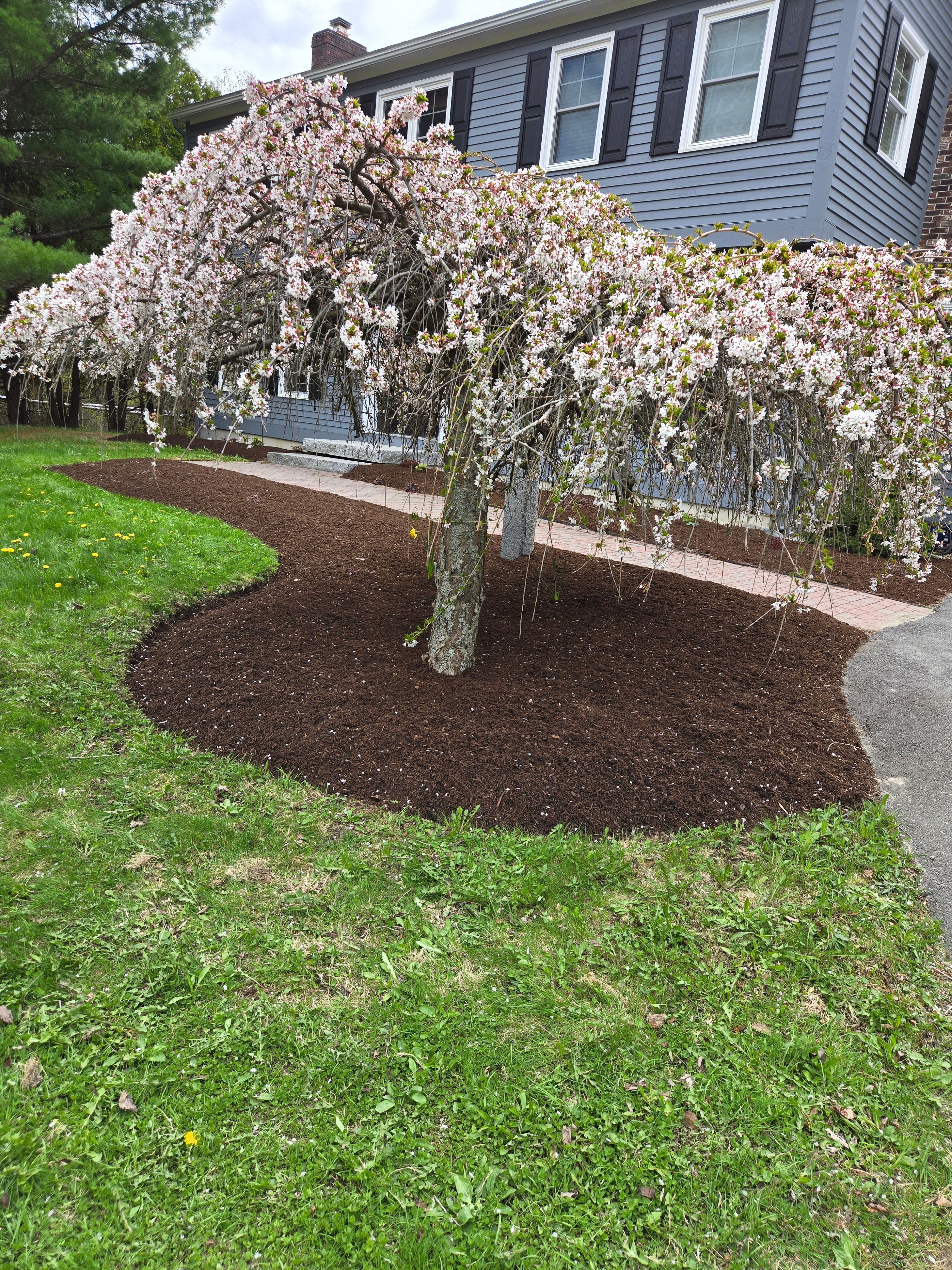 All Photos for Casey's Lawn Service LLC in Orono, ME