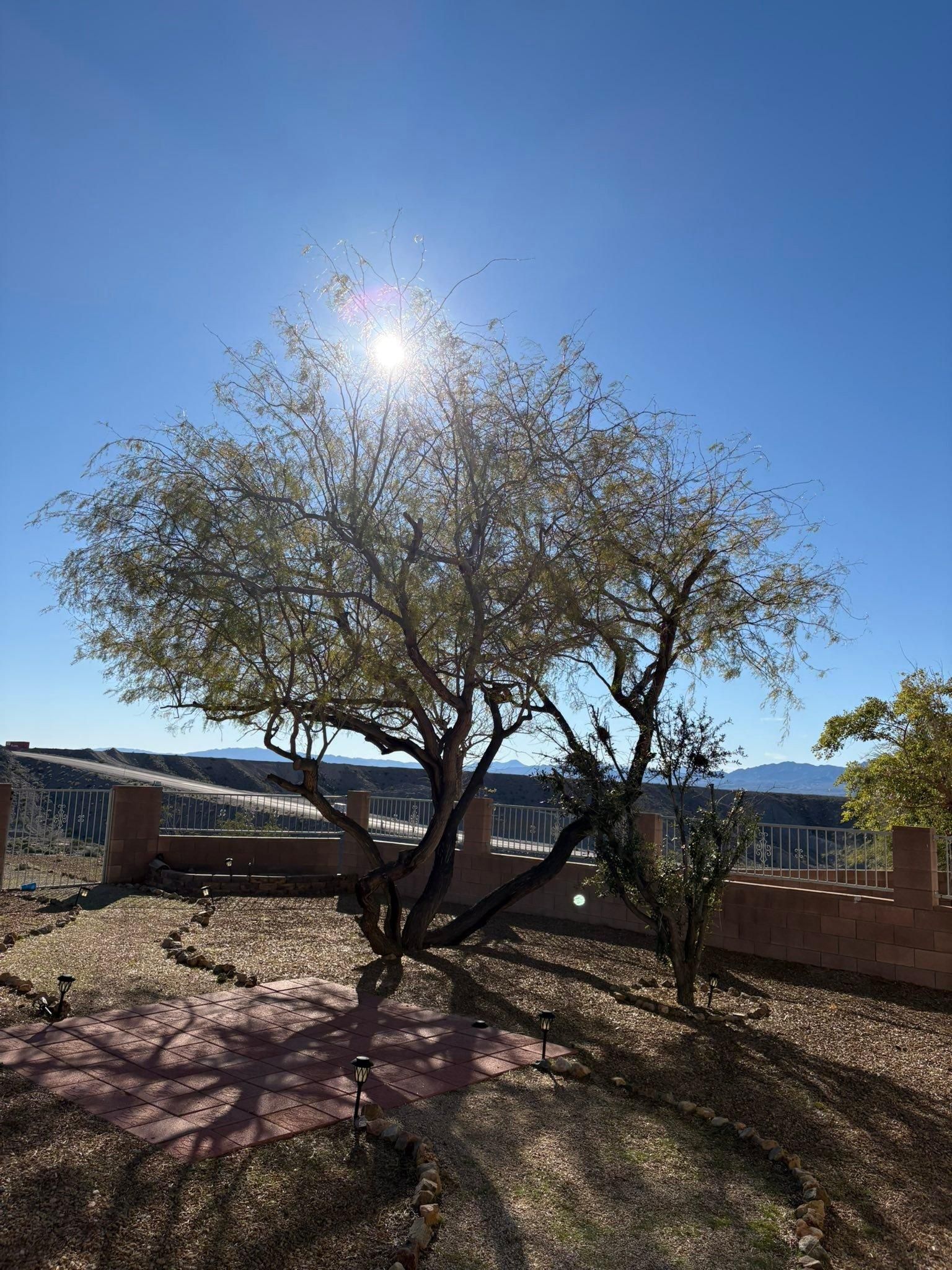  for Top Notch Landscape Services LLC in Mohave Valley, AZ