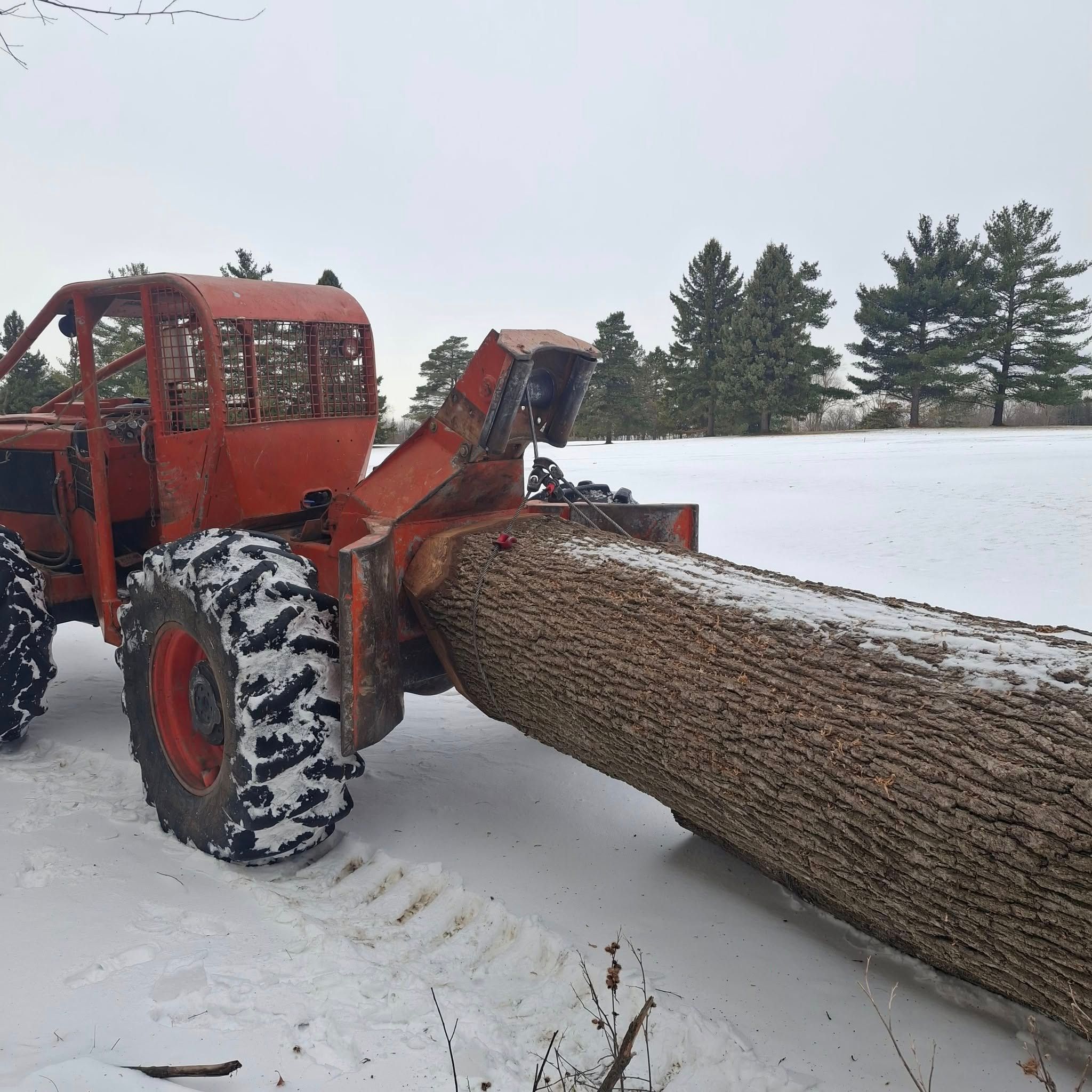  for God's Country Timber Management in Hillsdale, MI