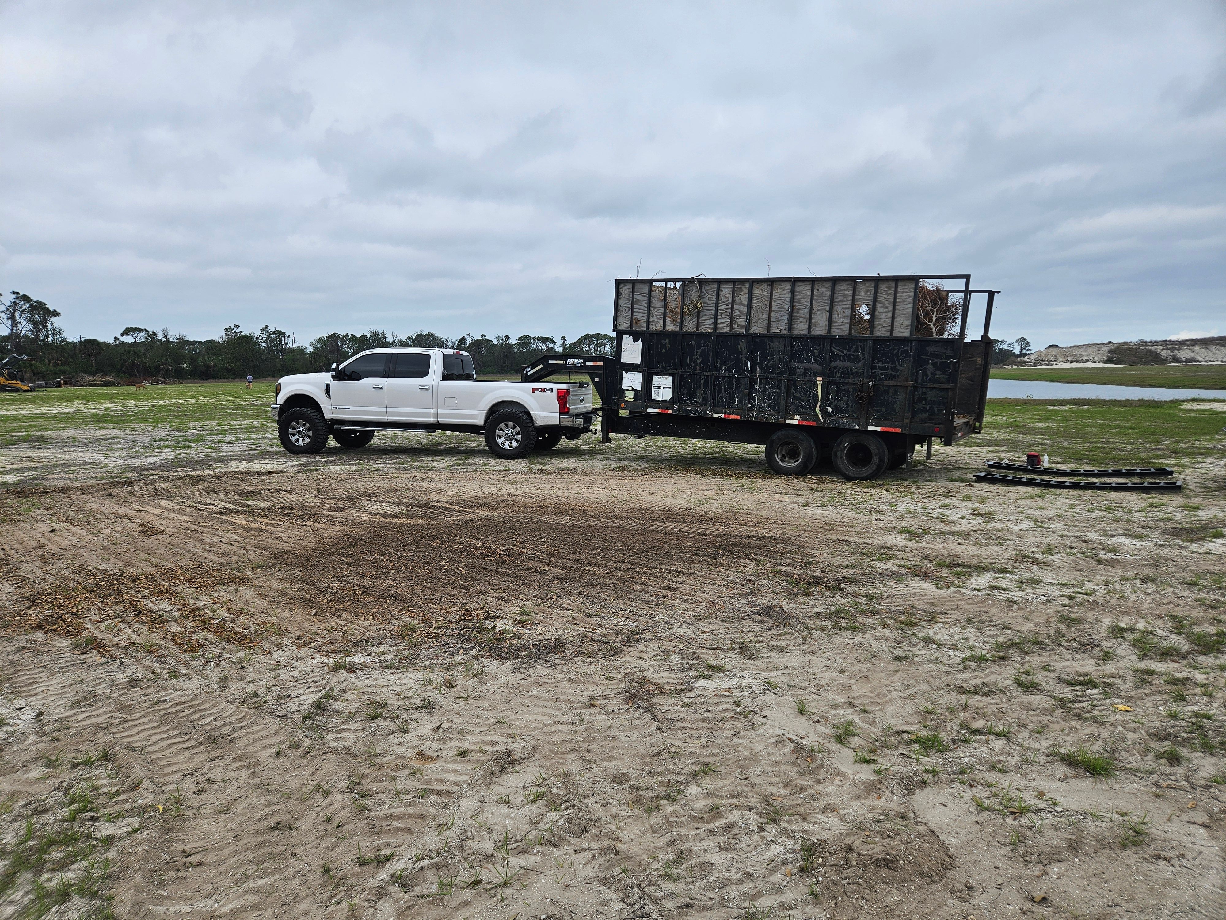 All Photos for Bay Area Bobcat in Riverview, FL