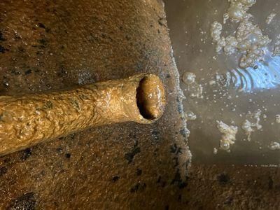  for Reliable Septic Tank Services in Marion County, FL in Reddick, FL