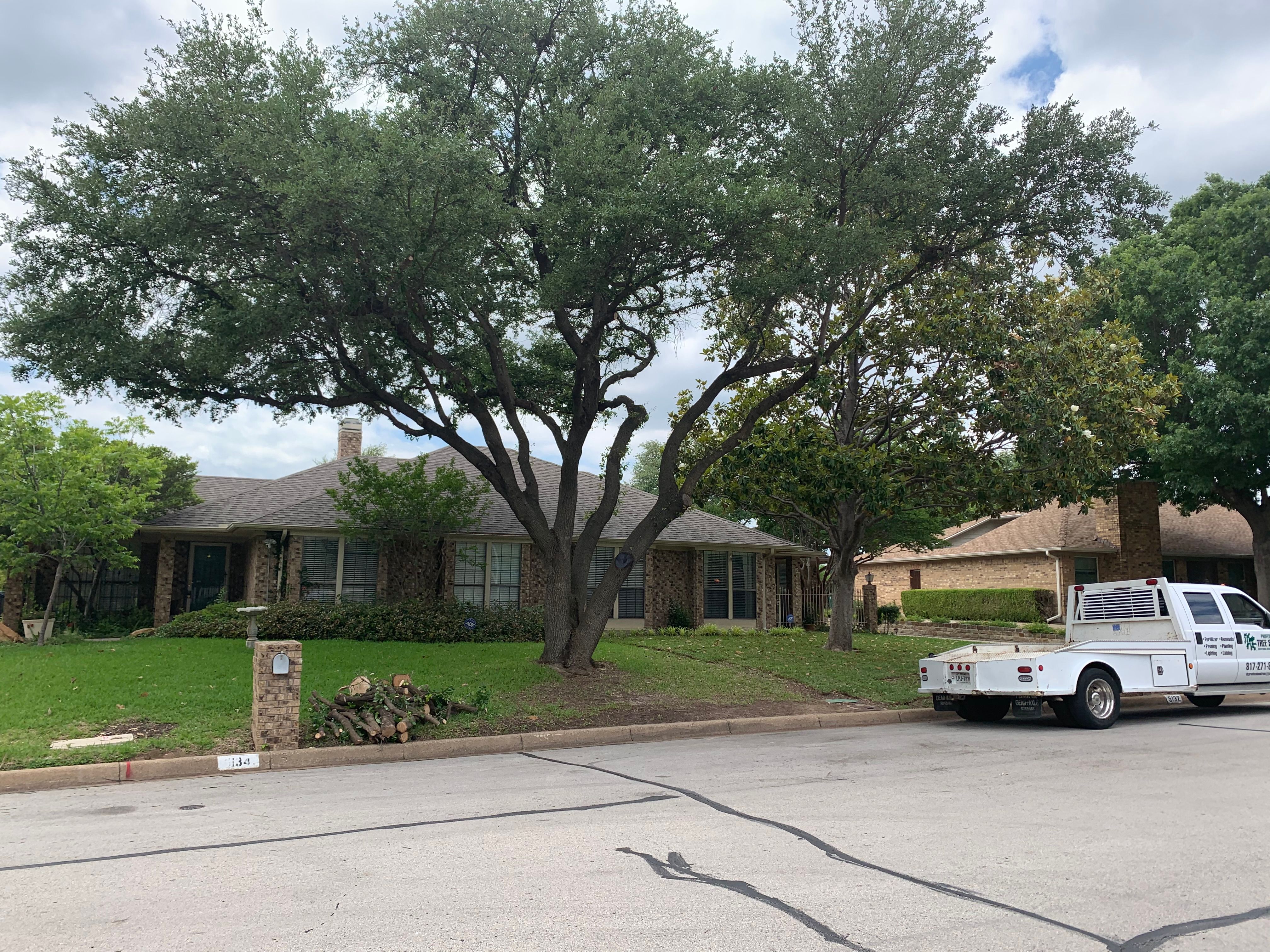  for TLC Professional Tree Service in Bedford, TX