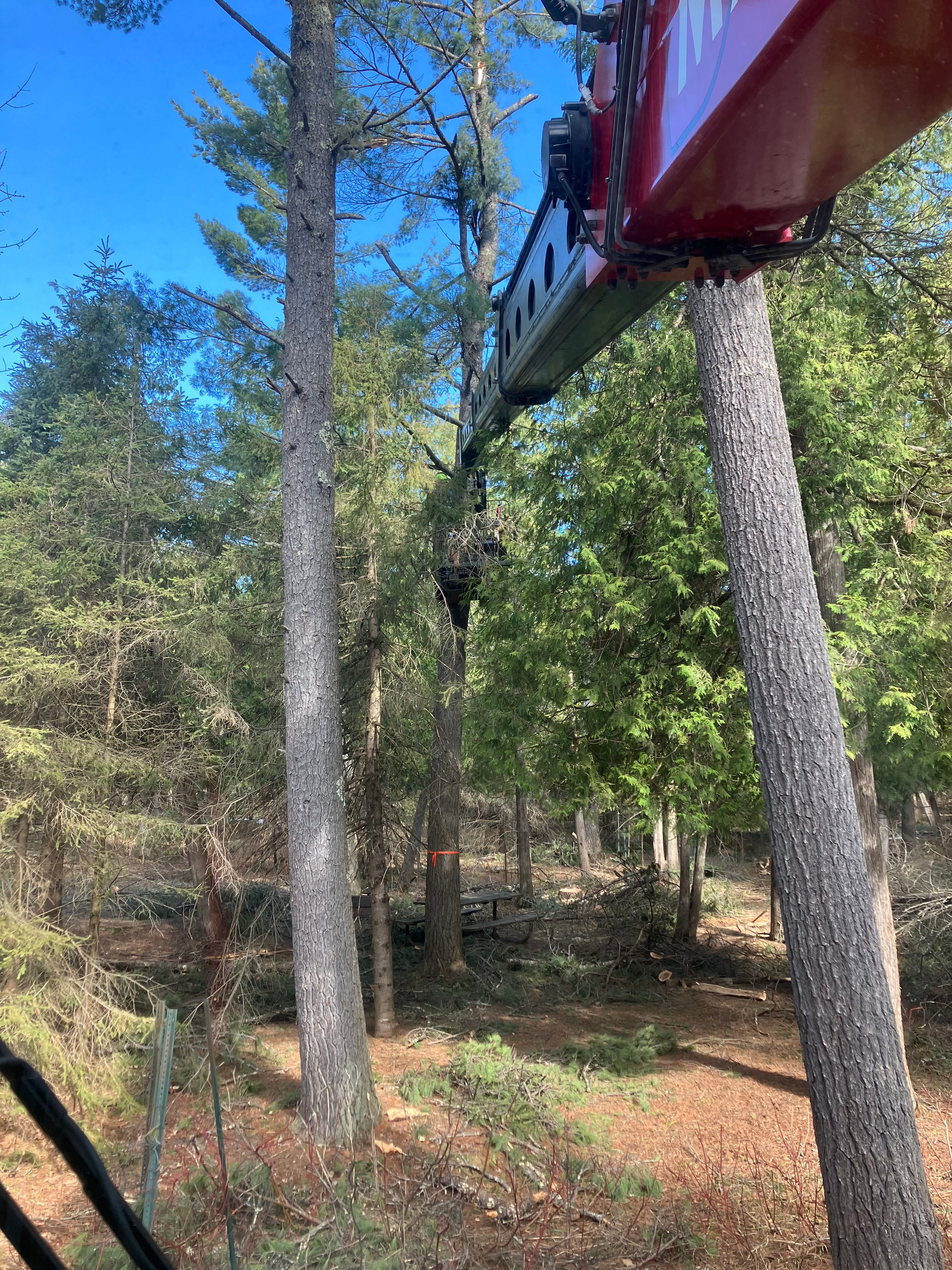  for Premier Services in New London, MN