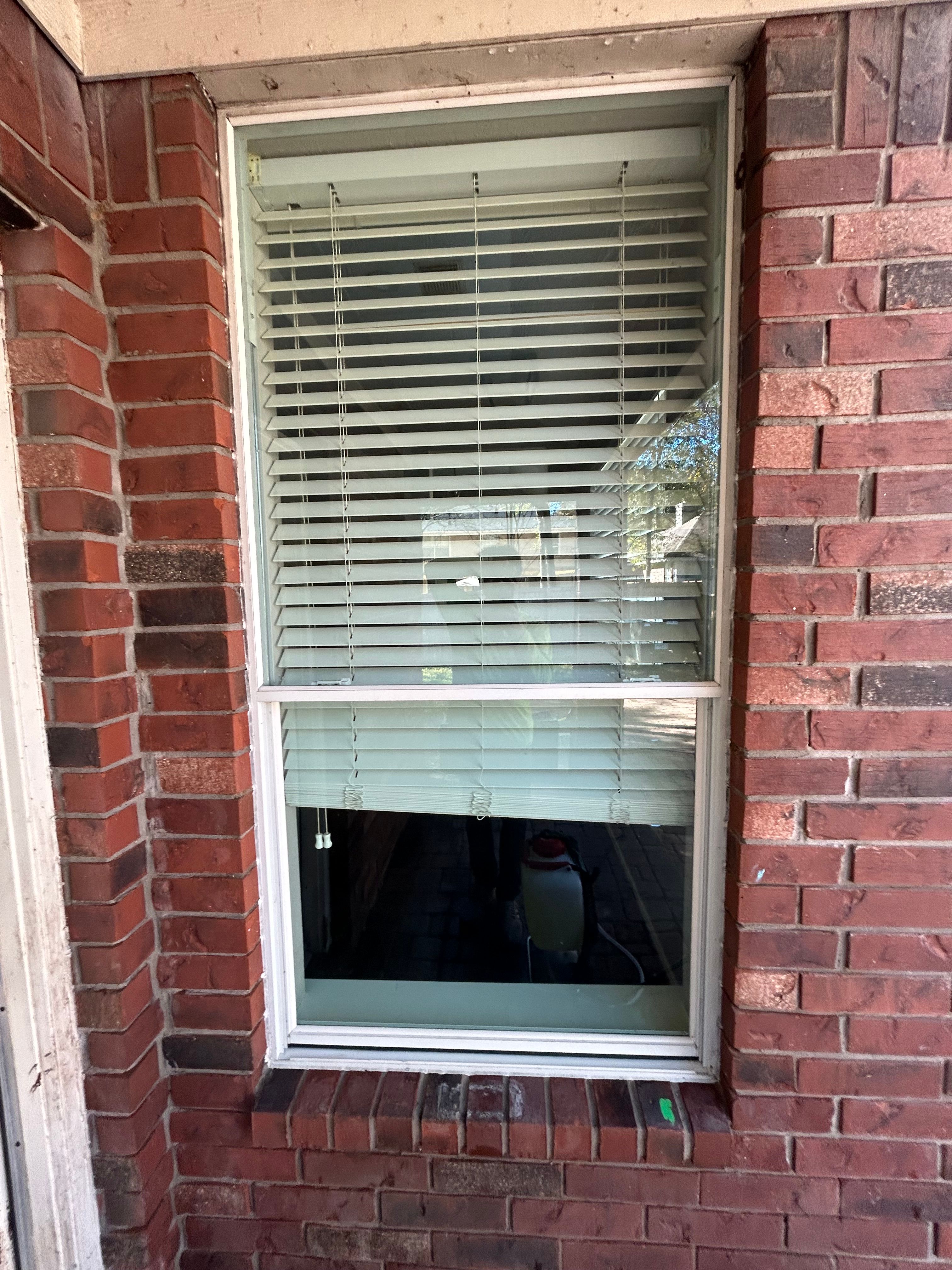  for Everyday Pressure Washing in The Woodlands, TX