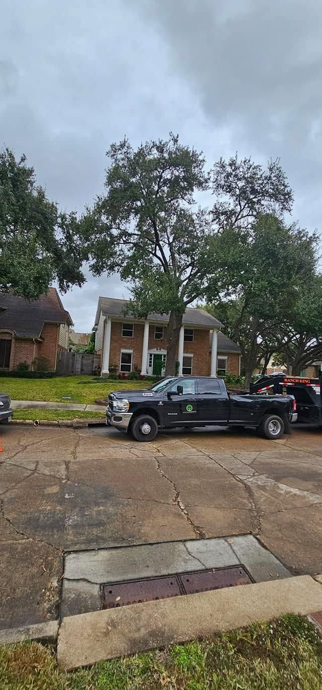  for Servin's Tree Care  in Houston, TX