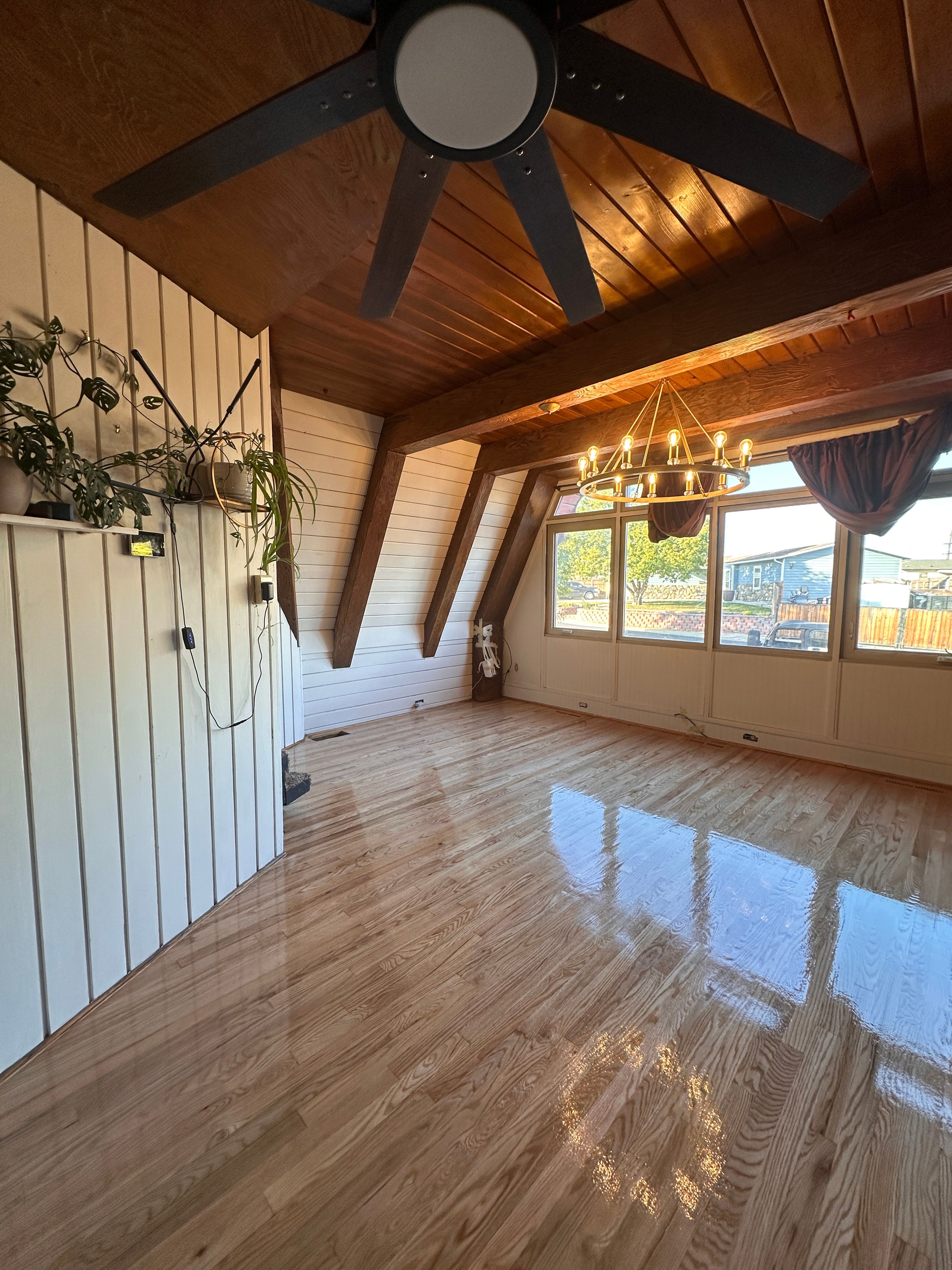  for Alpha Flooring & Painting Services. in Centennial, CO