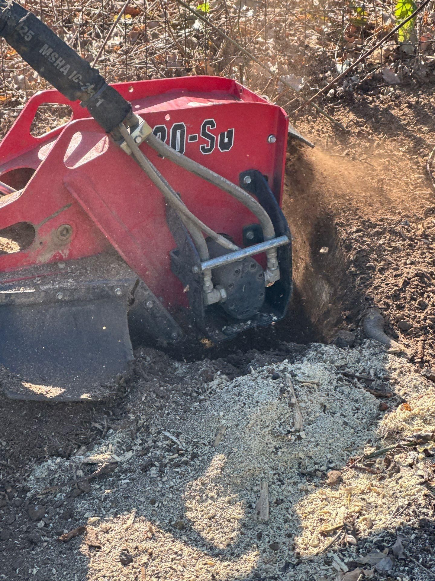  for Willamette Landscaping and Tree Services in Albany, OR