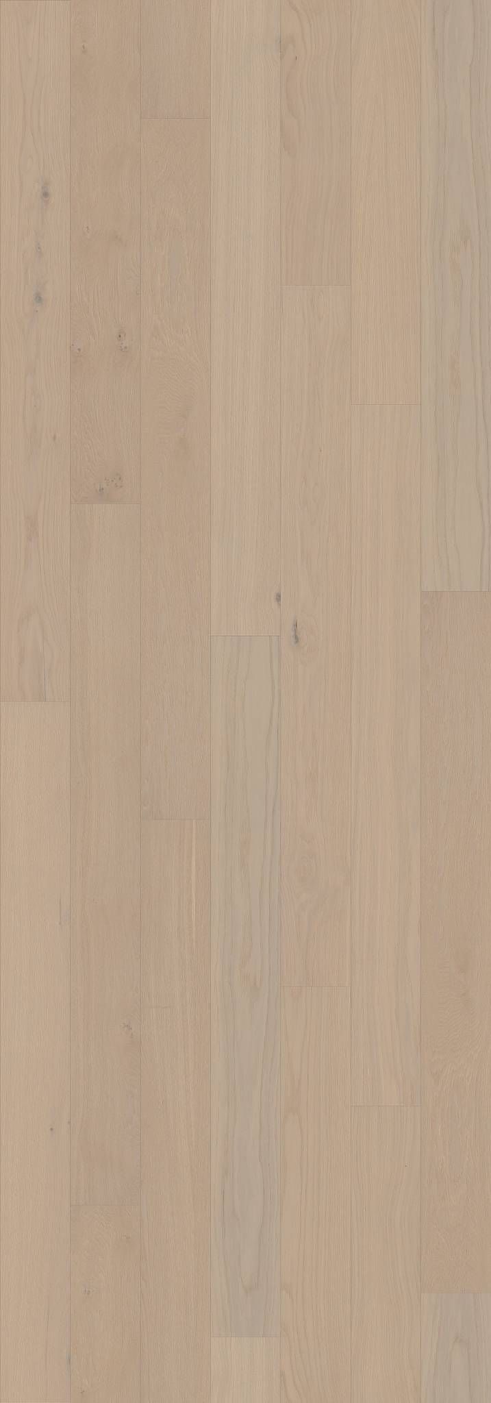  for Faith Friendly Flooring in Dalton, GA
