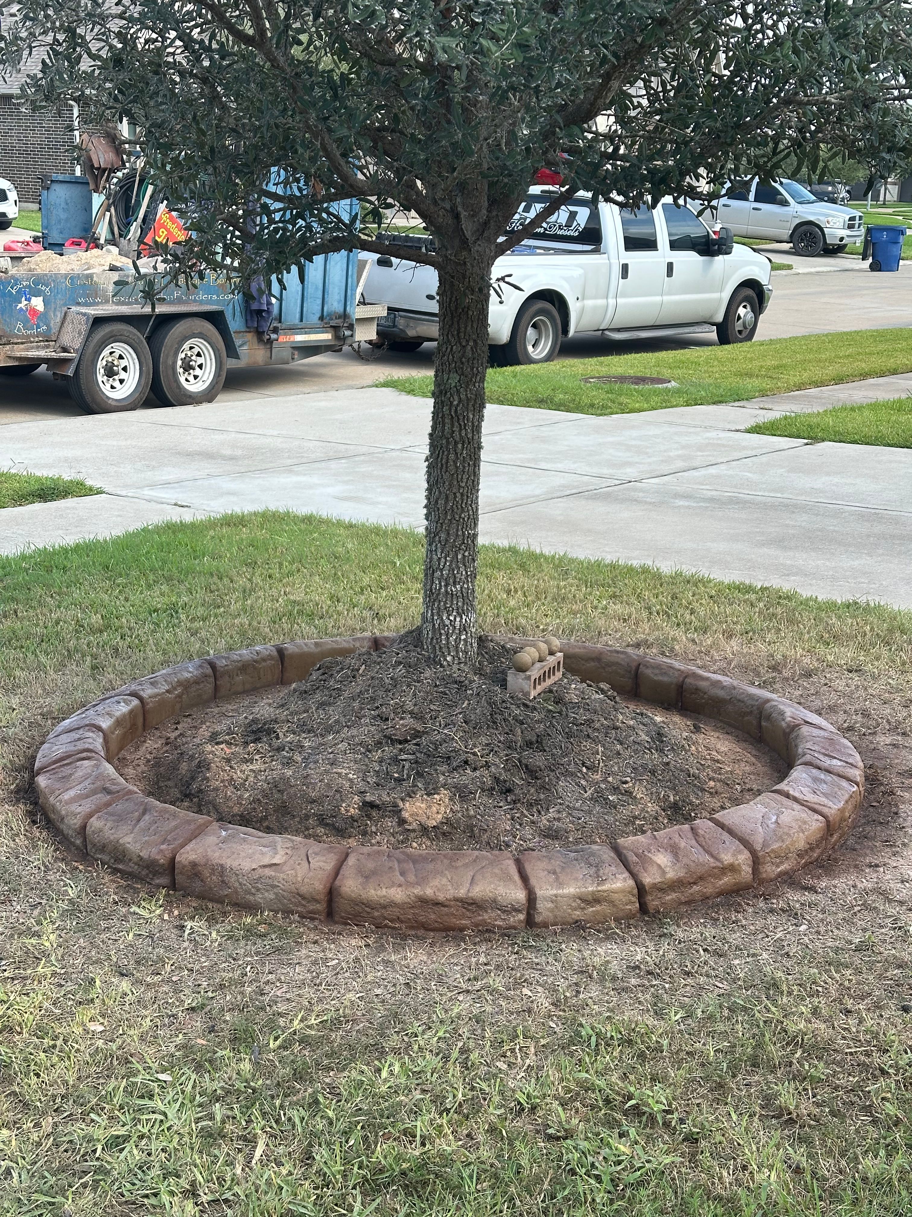  for Texas Curb N Borders in Houston, TX