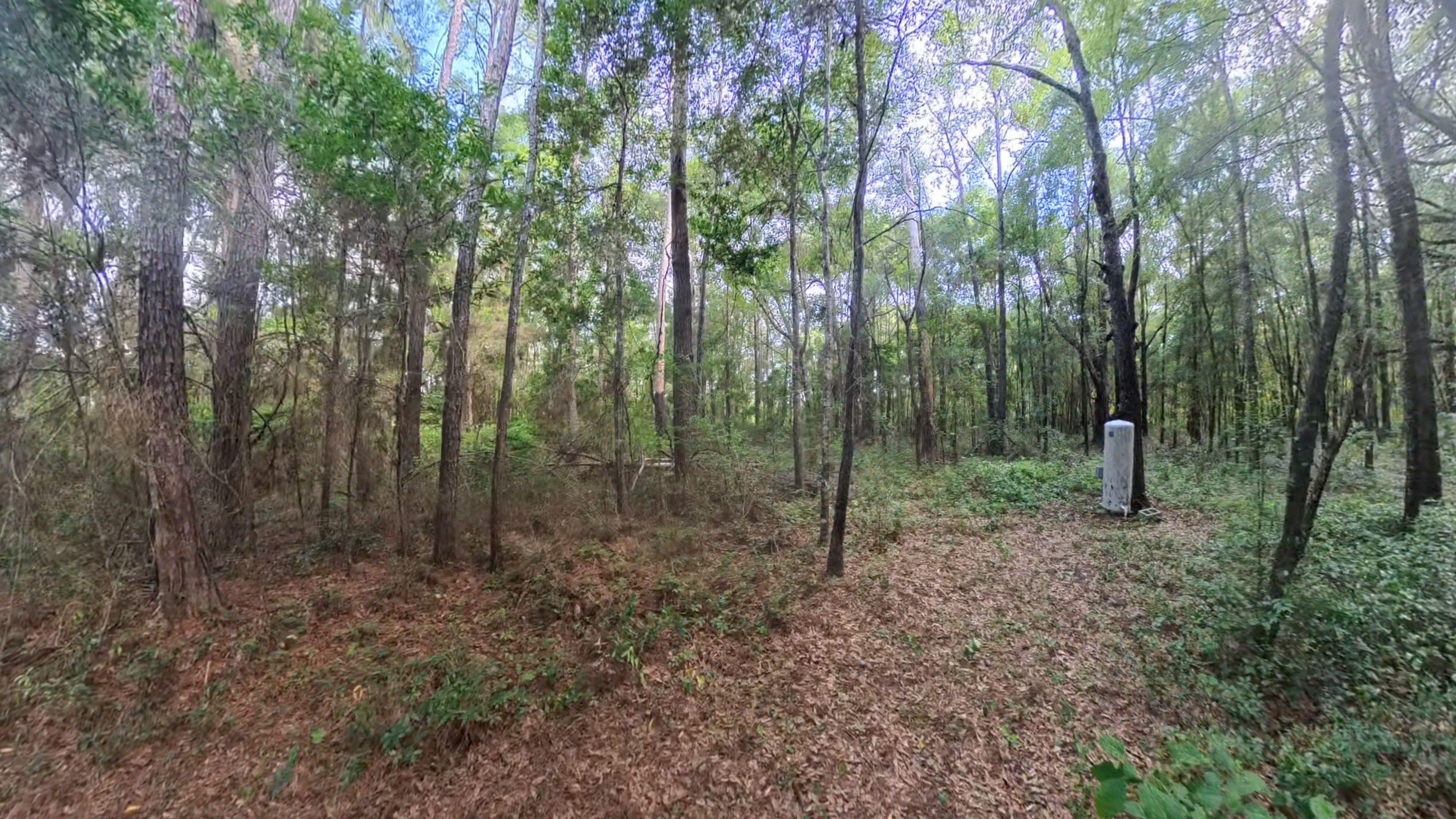  for Family Roots Landworks and Debris Removal in Newberry, FL