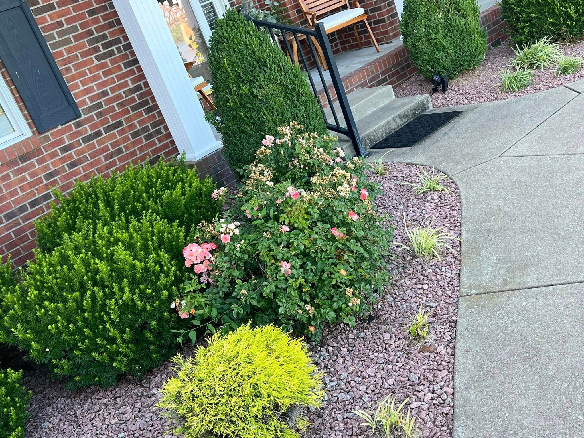  for New Outlook Lawncare in Henderson County, KY