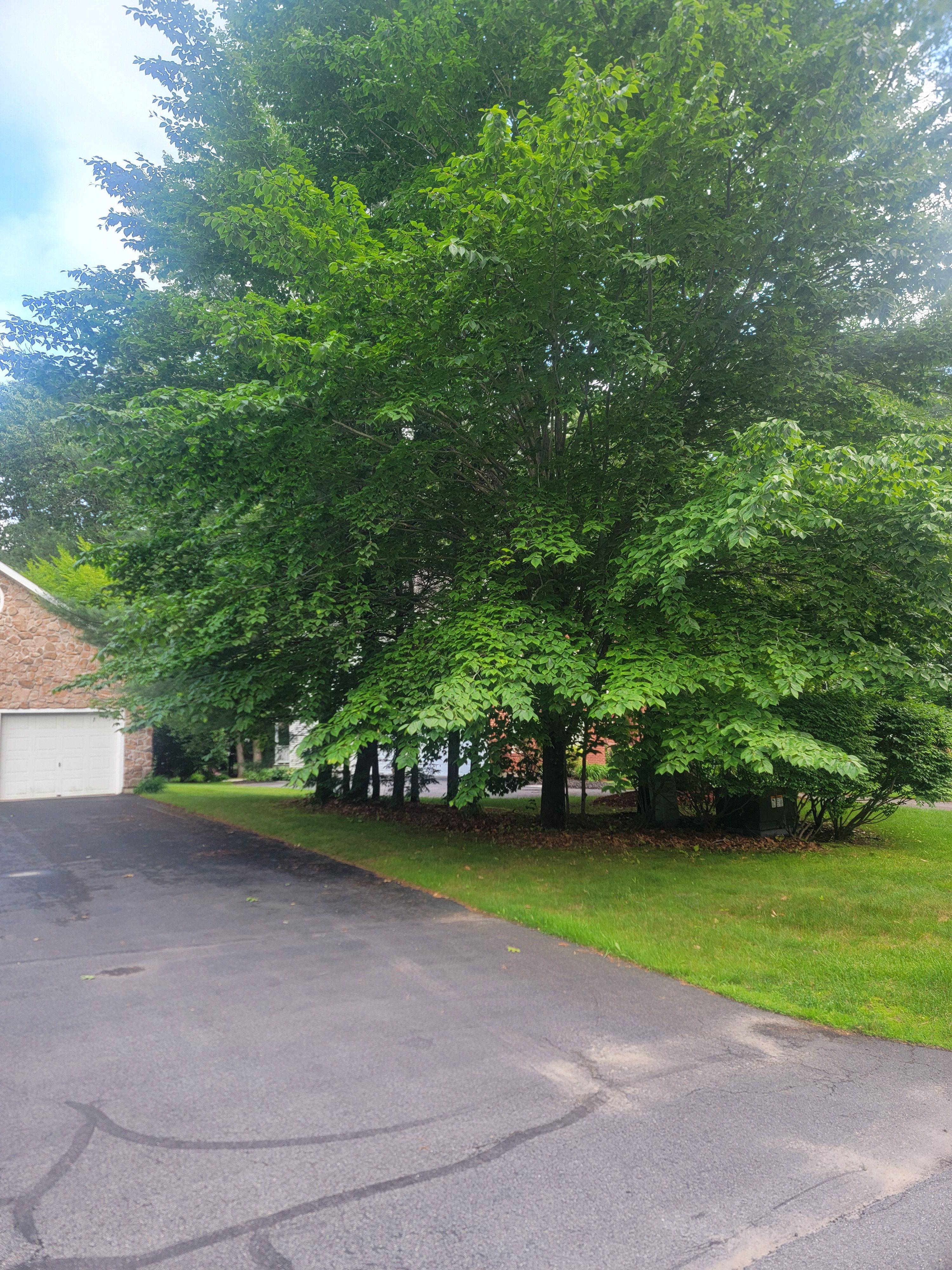  for Sweet Scapes in Ballston Spa, NY