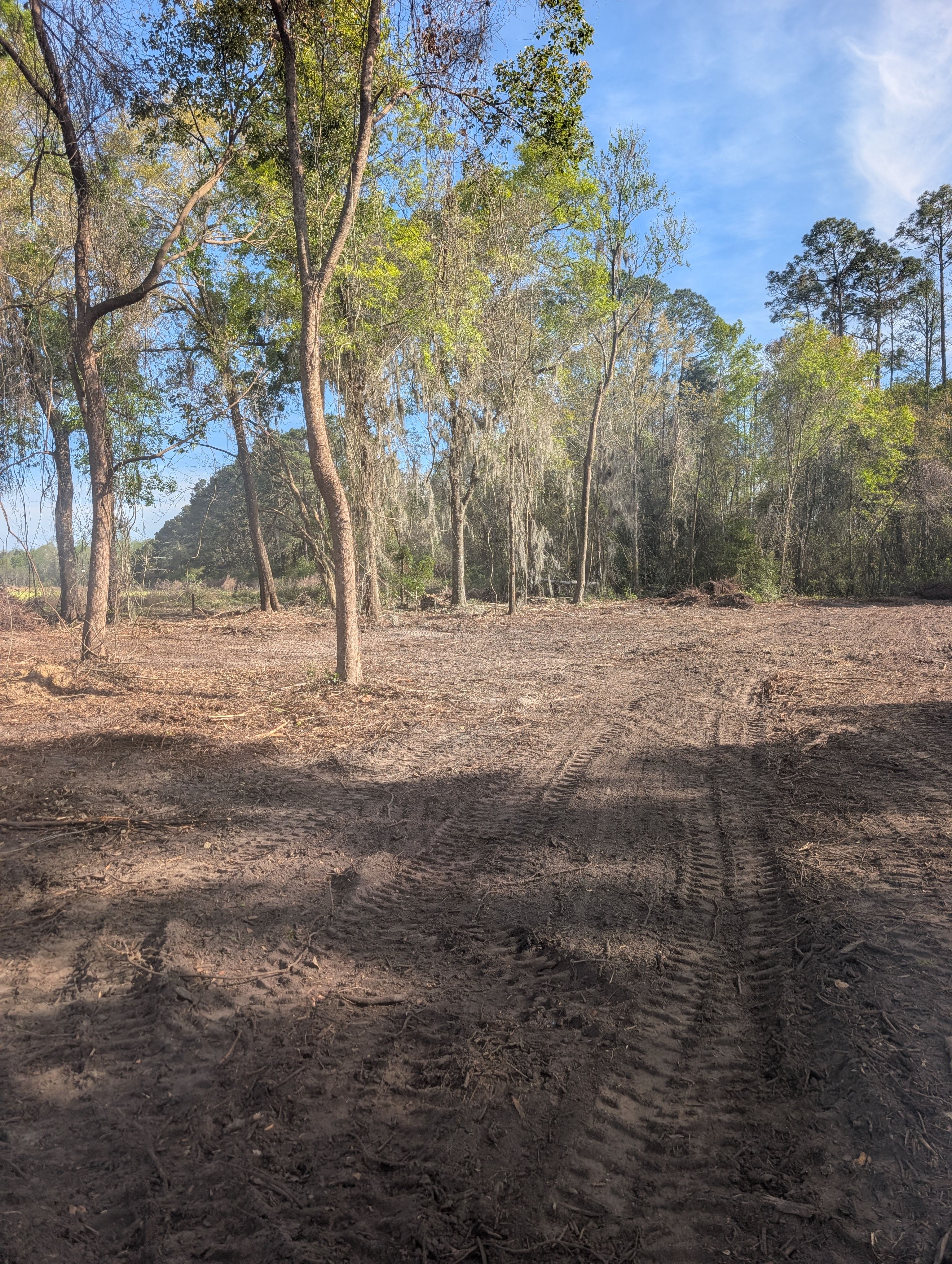  for TDWS Land Management in Blackshear, GA