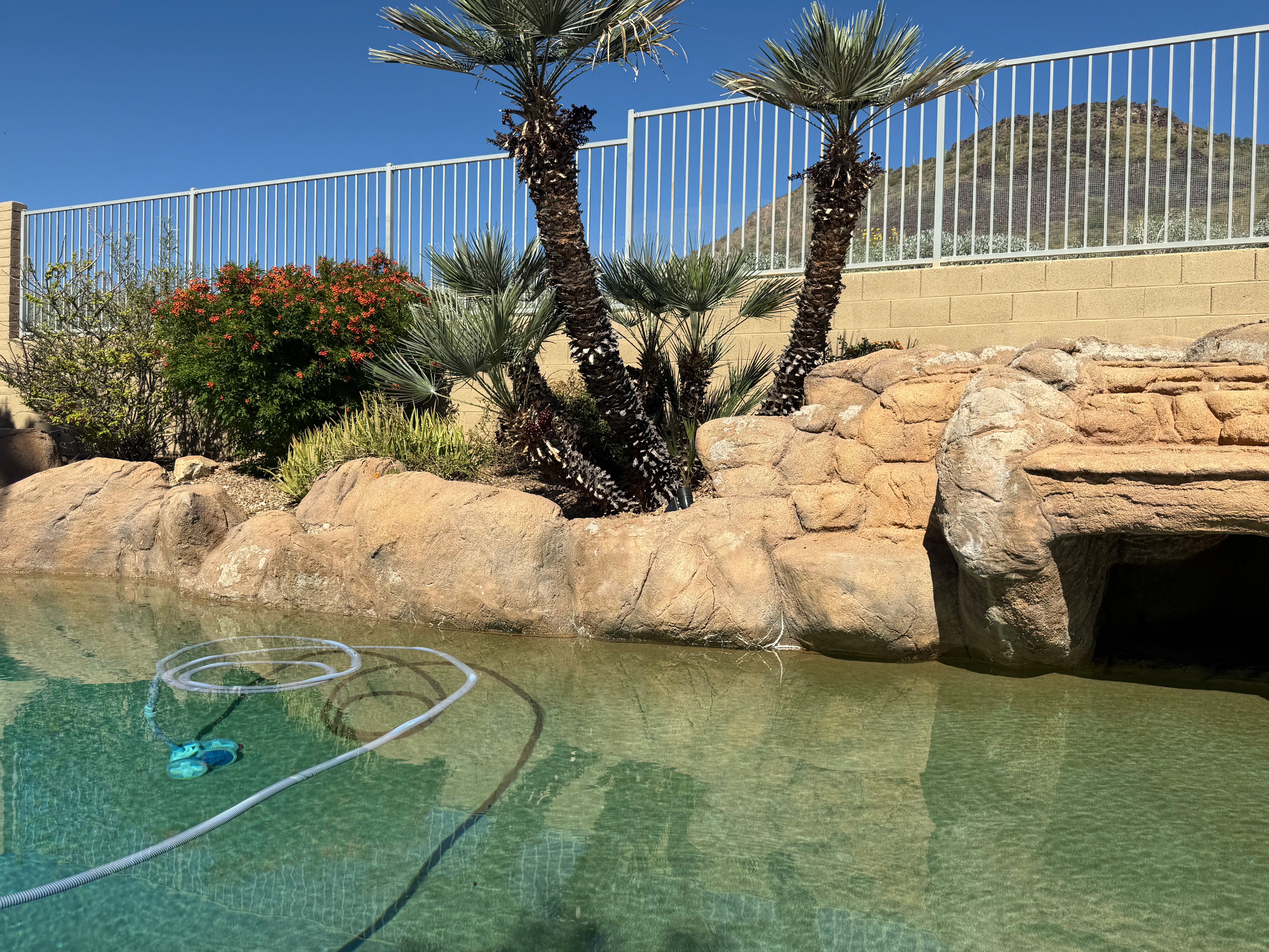  for Arizona Backyard Synergy in Phoenix, AZ