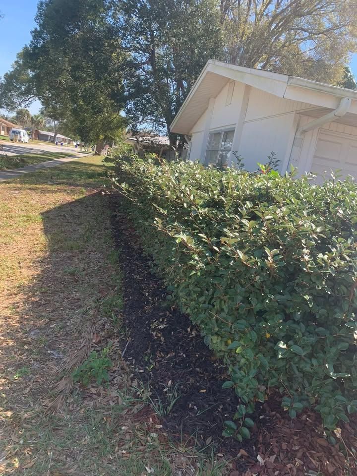  for Space Coast Property Maintenance and Management LLC in Brevard County, FL