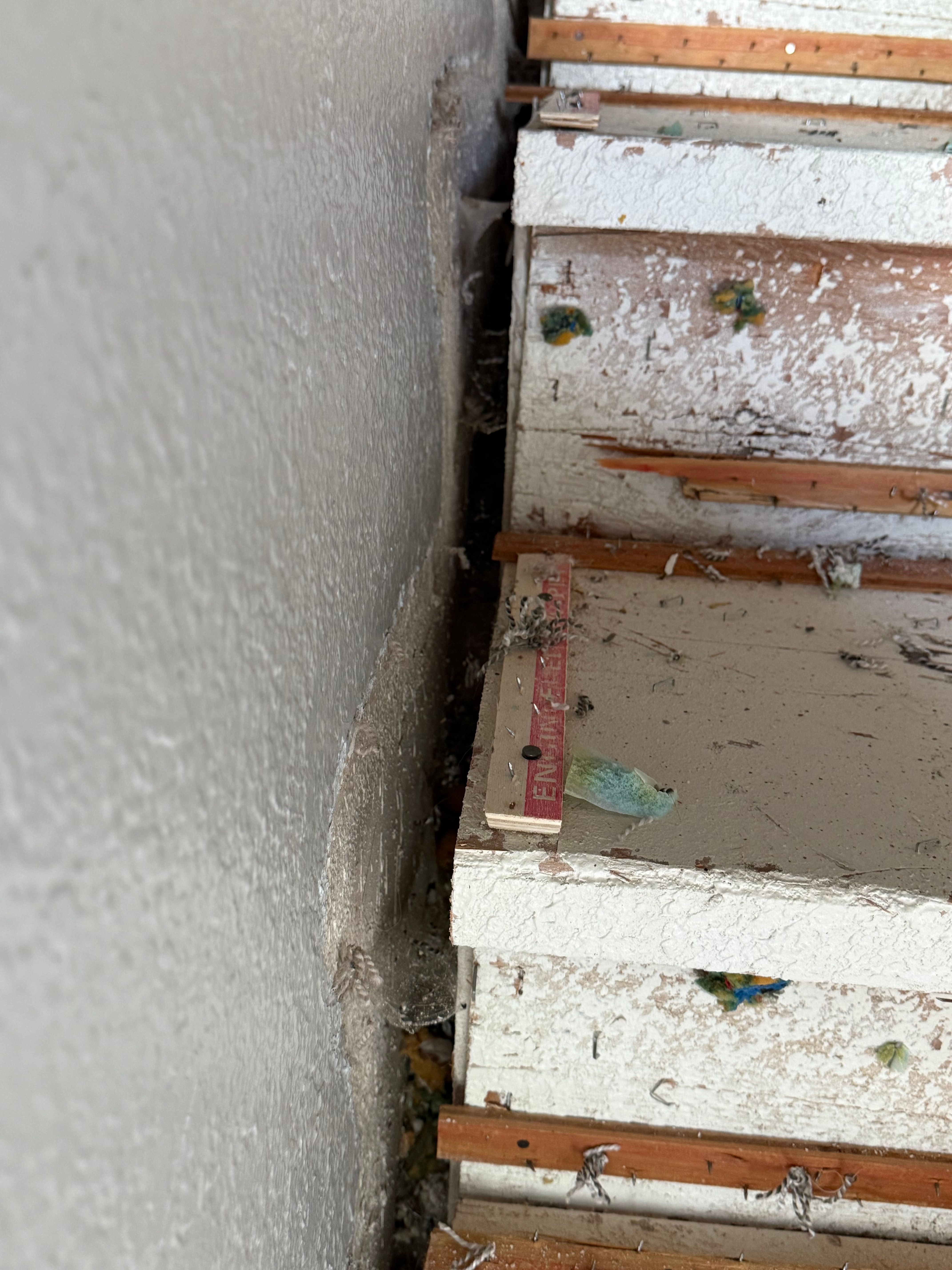 Interior Repairs for Alaskan Residential Rescue in Anchorage, AK