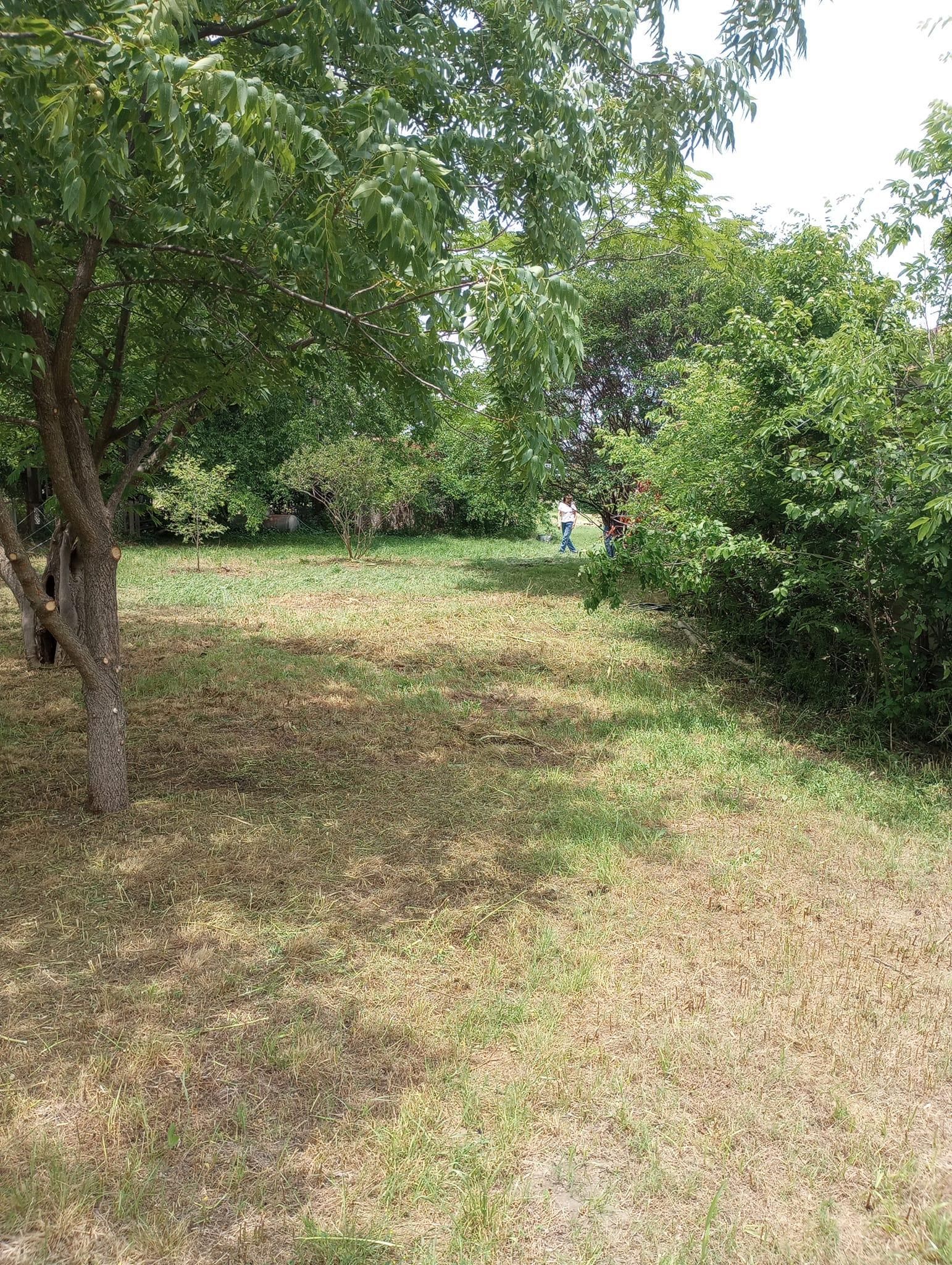 Mowing for Emergency Yard Care LLC in Waxahachie, TX