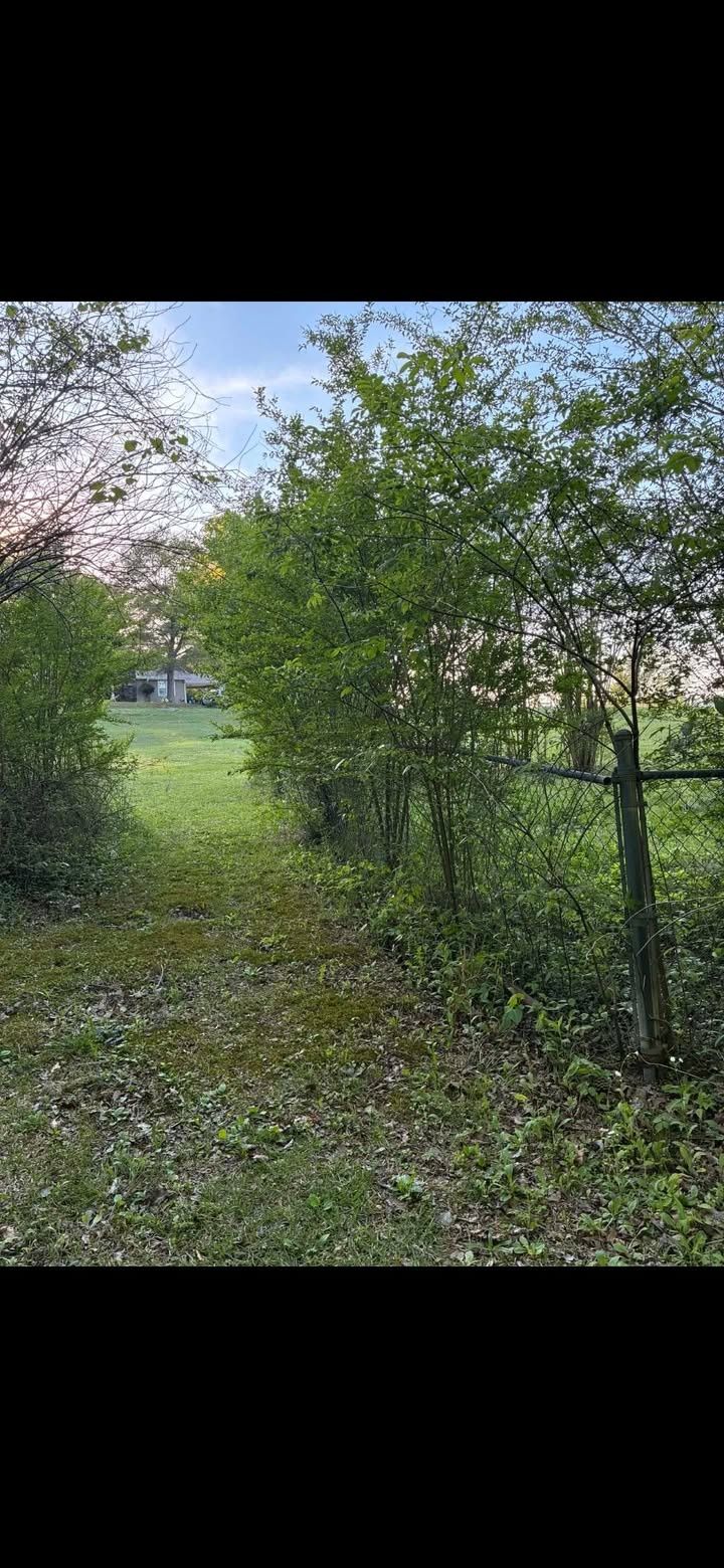  for Big C Land Management in Anniston, AL