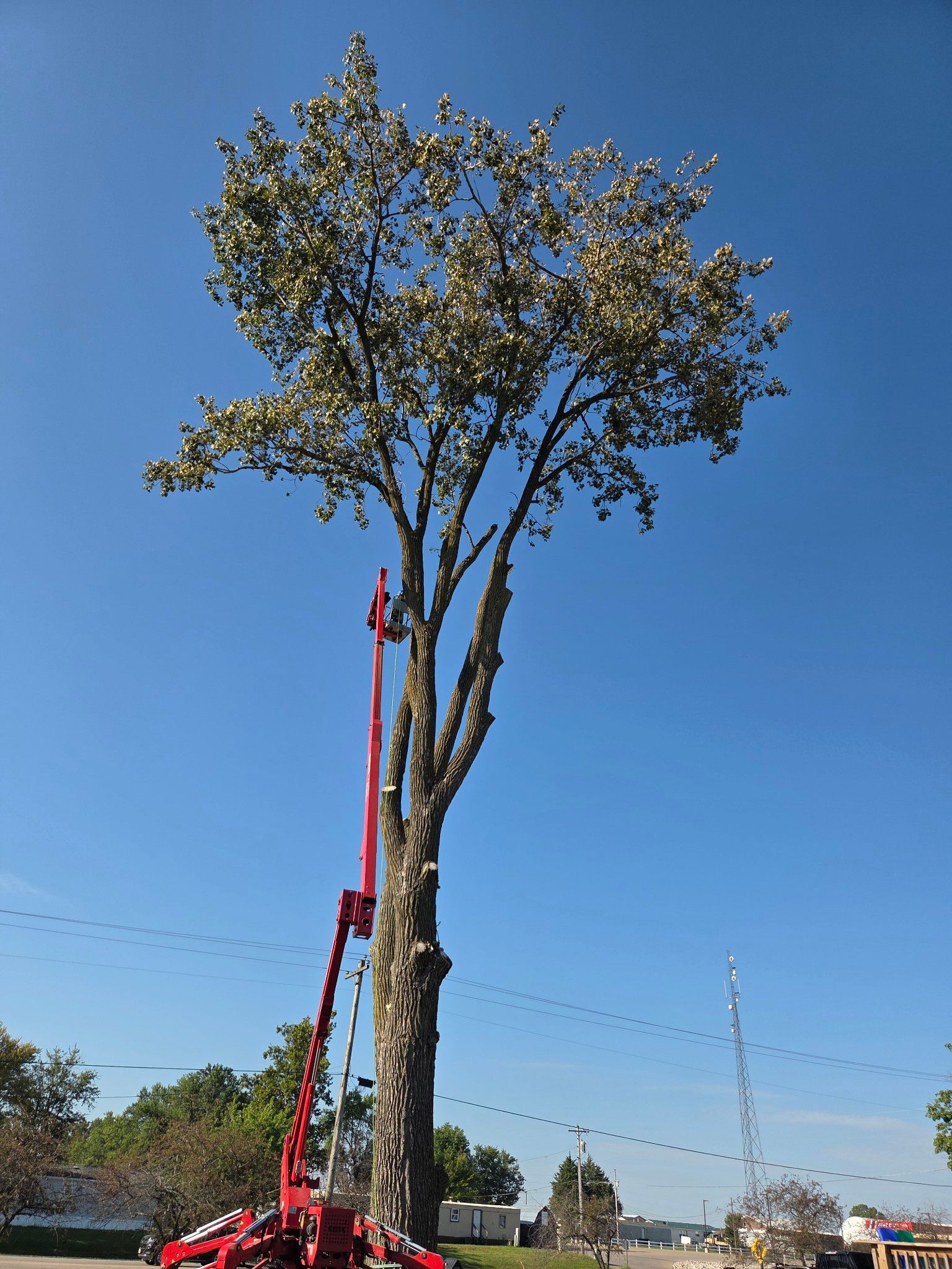  for Lawn Ranger Yard And Tree Service LLC in Ottumwa, IA
