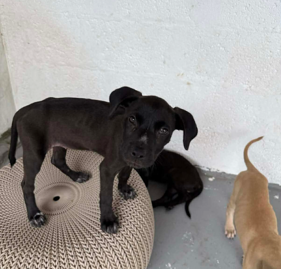  for Sullivan Sanctuary of Maine in Brunswick, ME