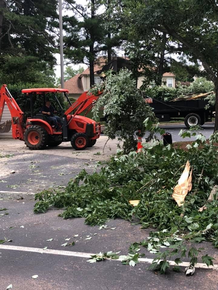  for North Meck Tree & Grounds Specialist in Huntersville, NC