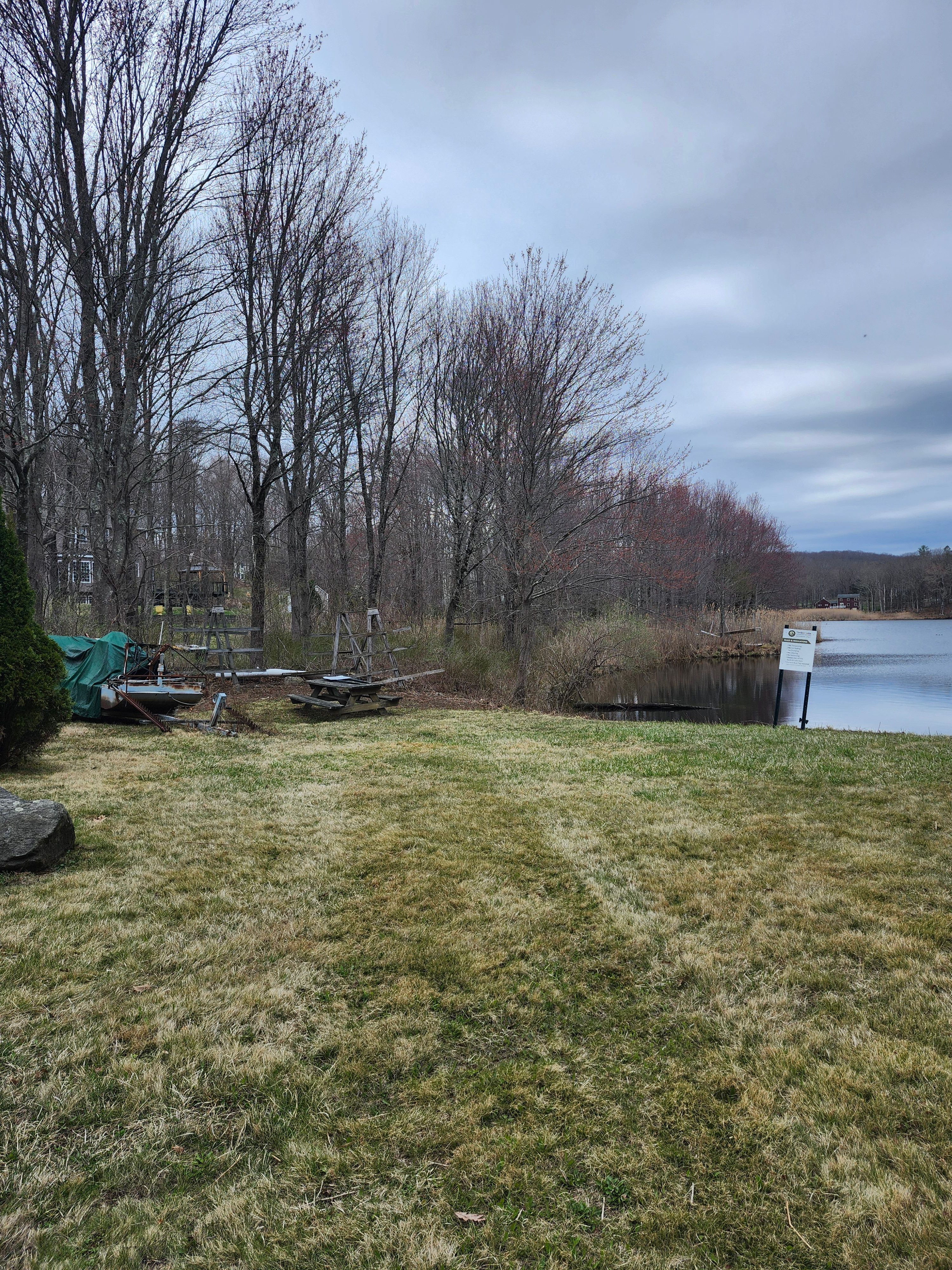 Hedge/Tree/Brush Cutting for Landscape Innovations LLC in Torrington, CT