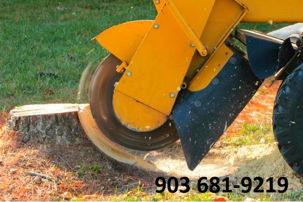  for Reliable Stump Grinding in Frankston, TX