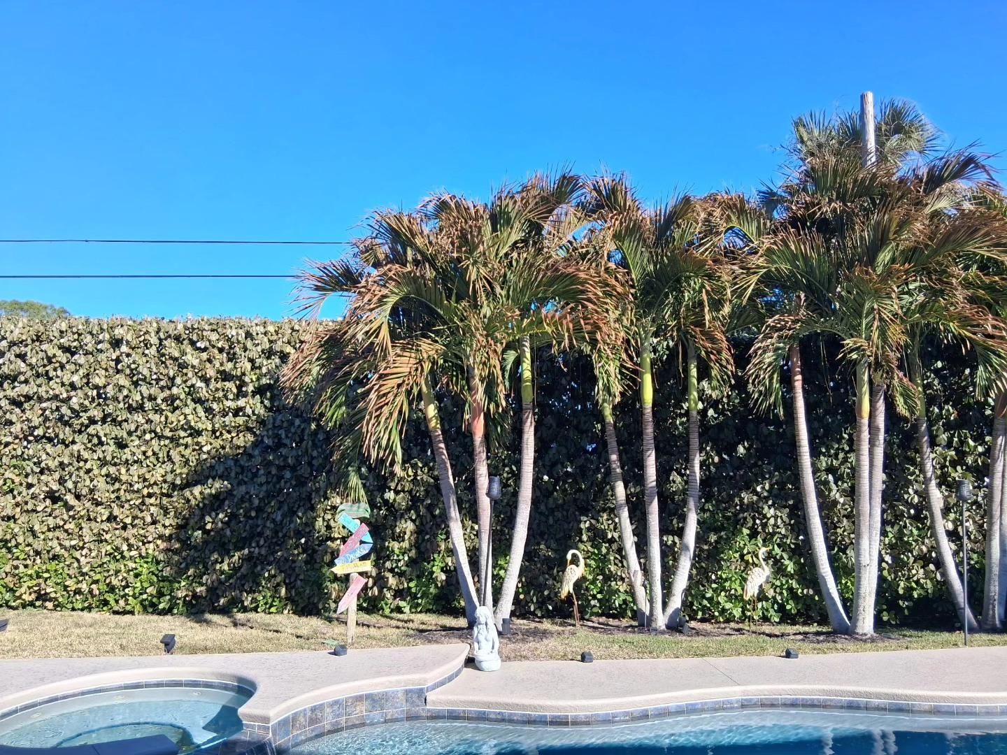  for Bridgewater Arbor Care LLC in Jupiter, FL