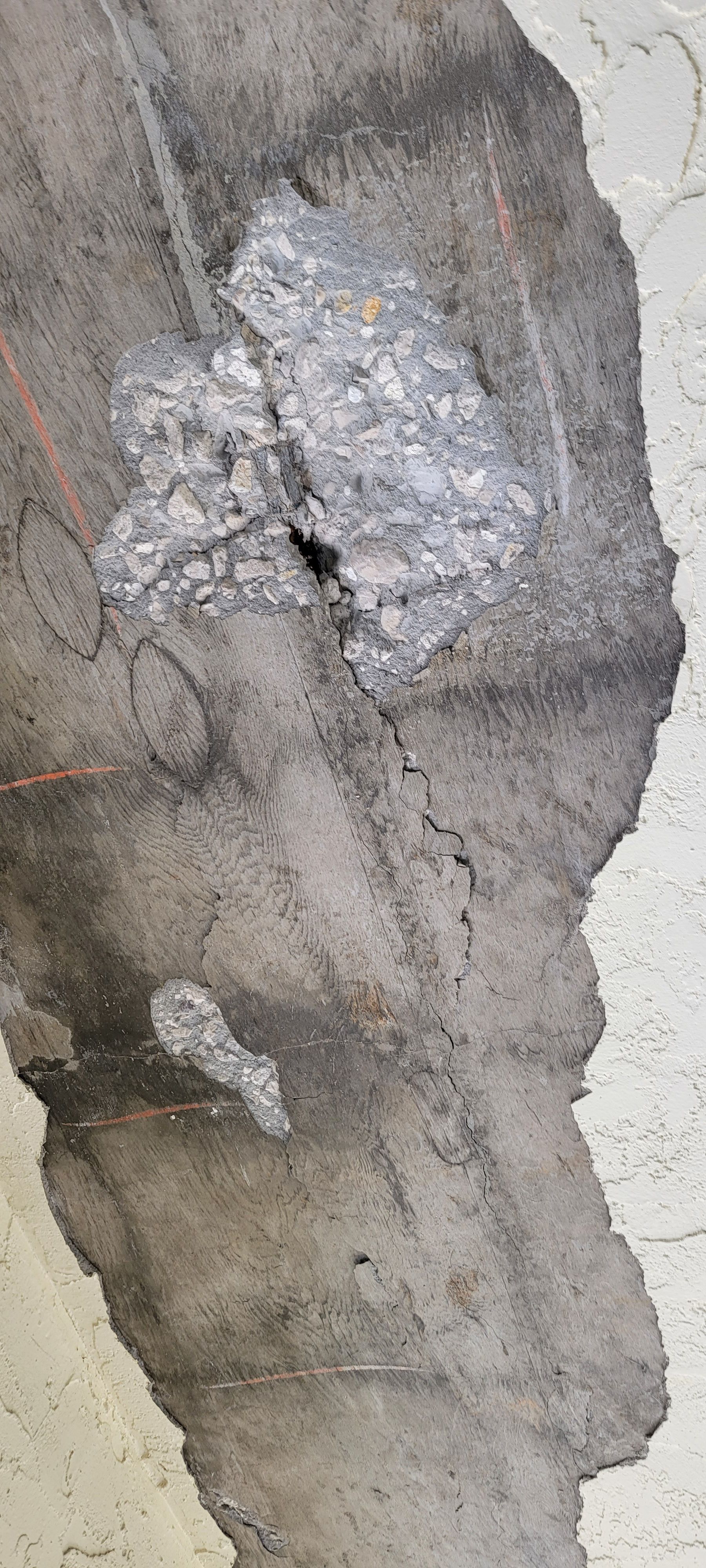  for Millenium Construction & Property Management in Tampa, FL