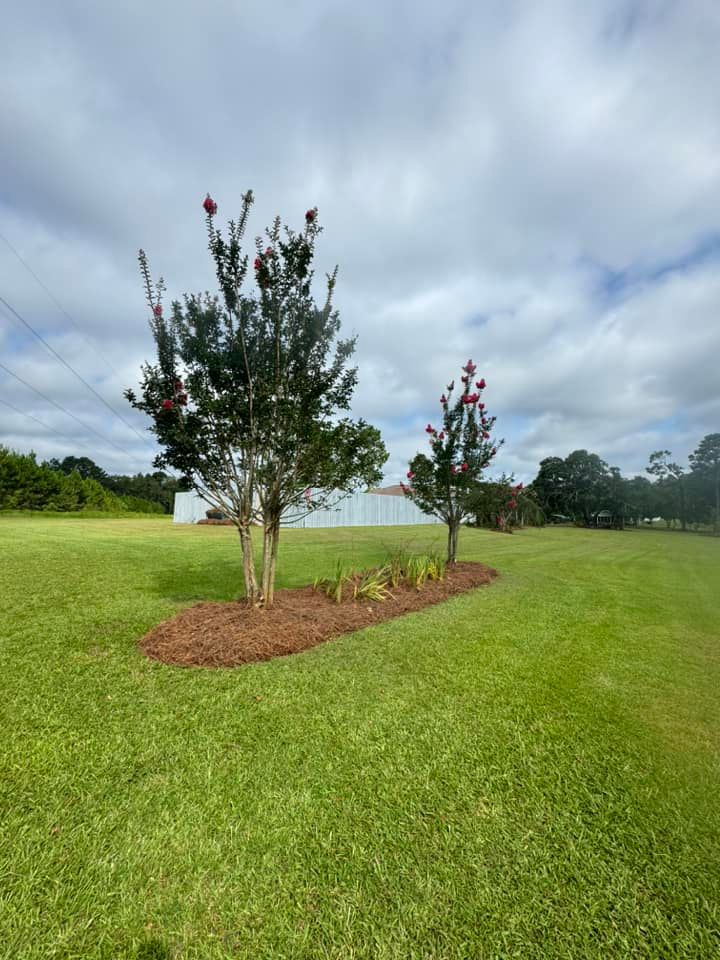  for Sierra Verde Landscaping in Vidalia, GA