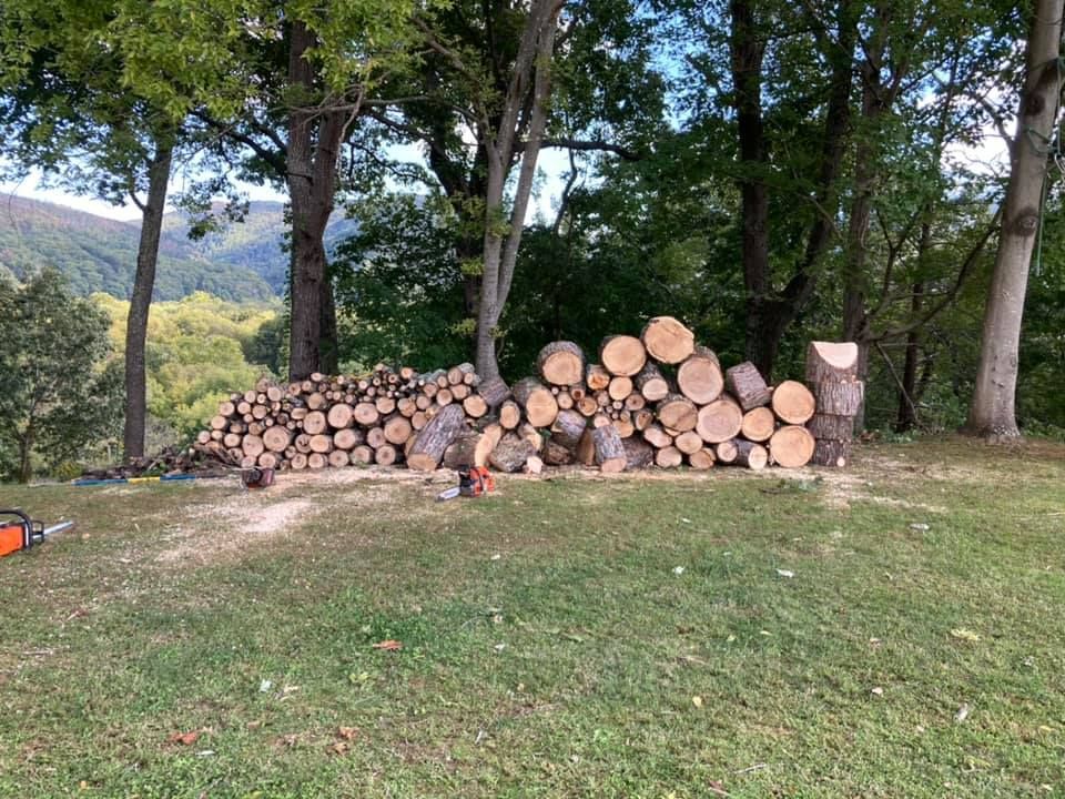  for Ground To Sky Tree Care in Asheville, North Carolina