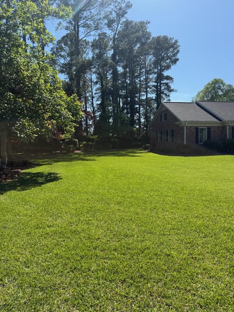  for Turf's Up!  in Lumberton, NC