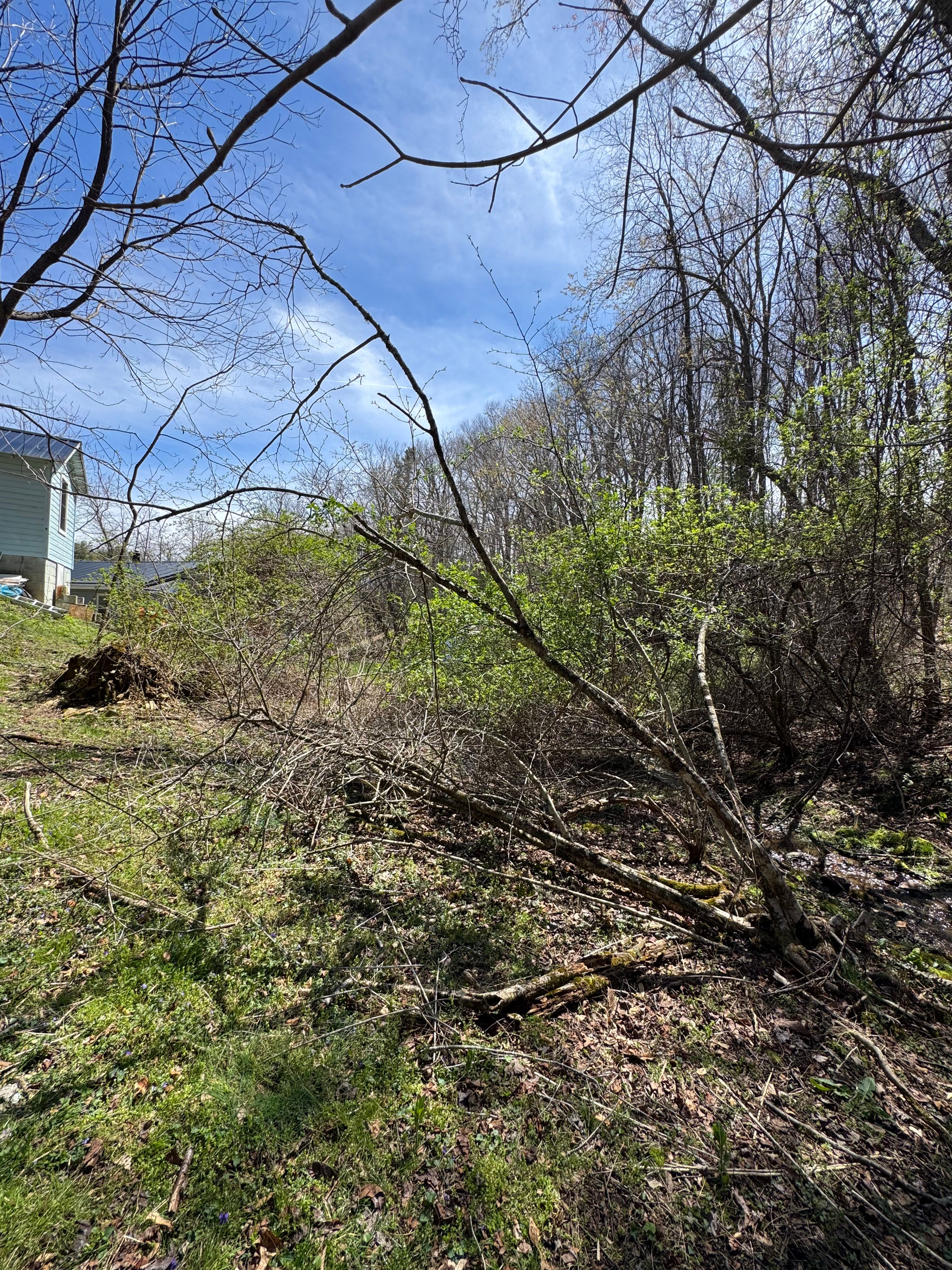  for Mountain Goat Land Management in Galax, VA