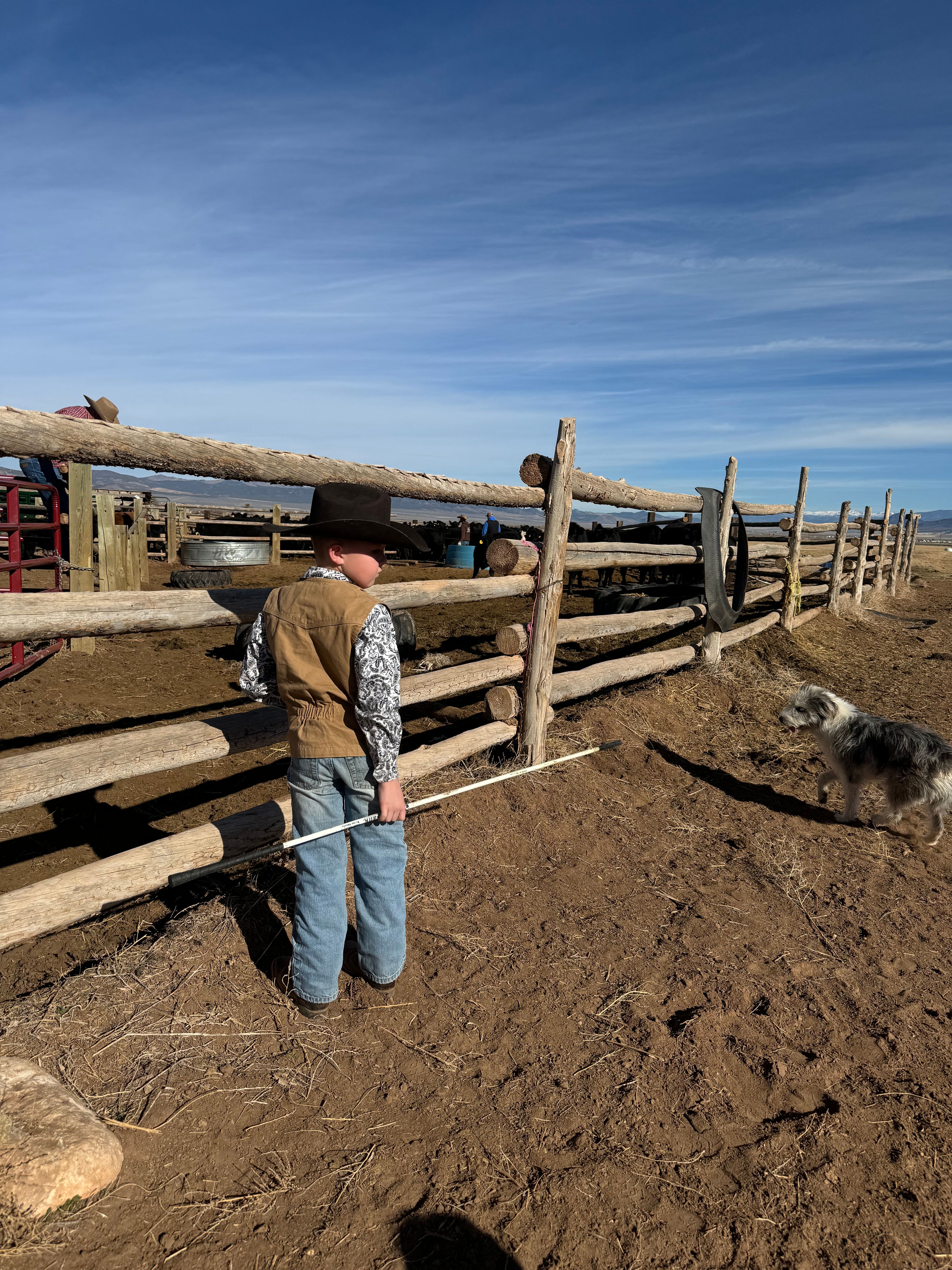 Fences for Burton Fencing in Parowan, UT