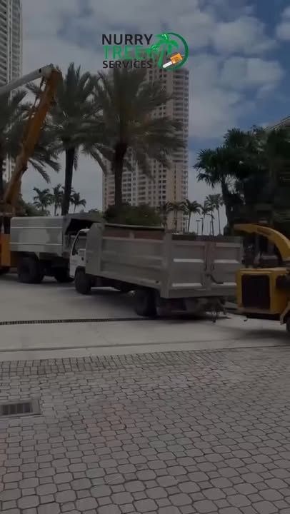  for Regional Land Construction in Miami, FL