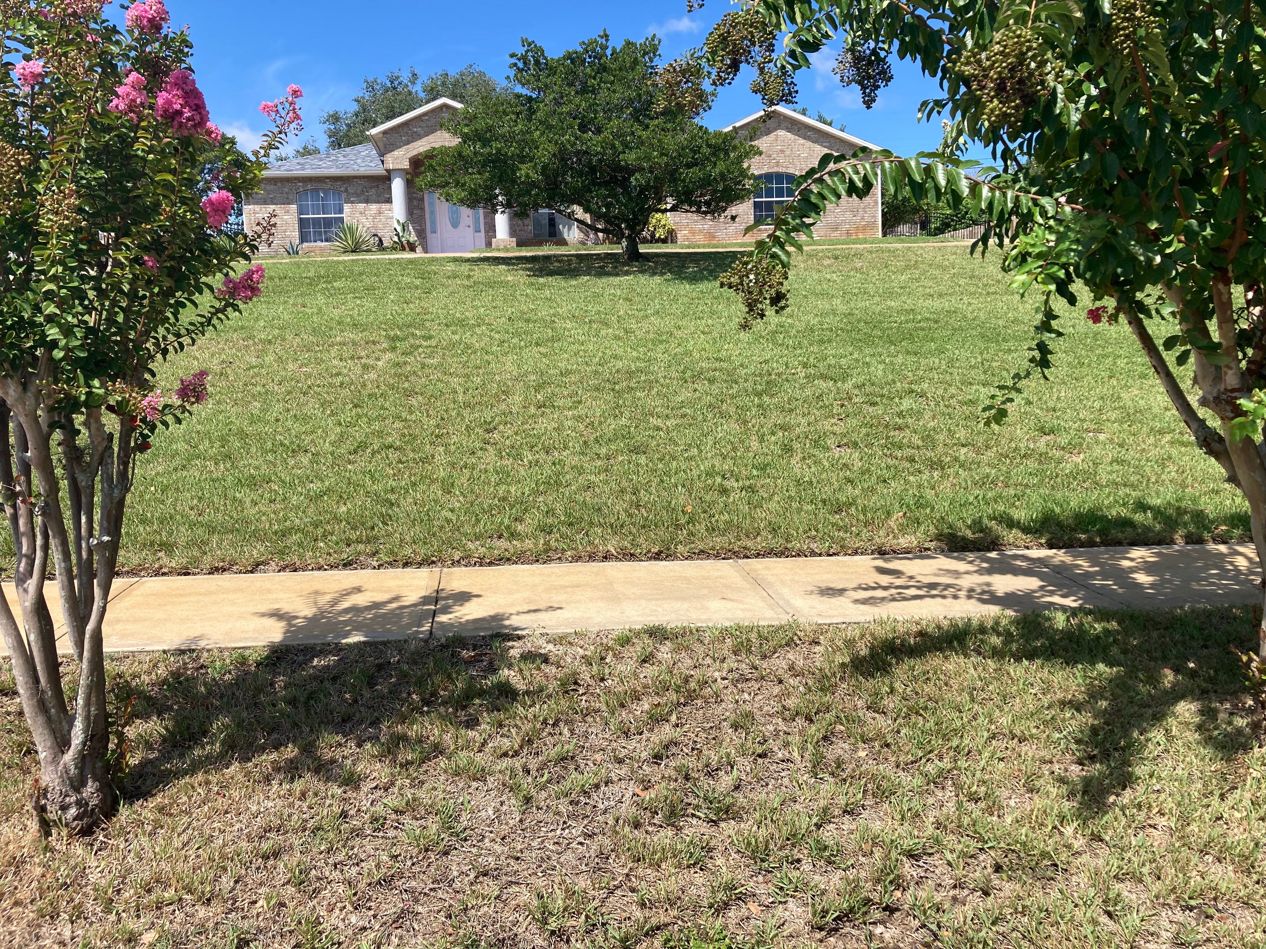 All Photos for Impressive Lawns 321 LLC in Titusville, FL