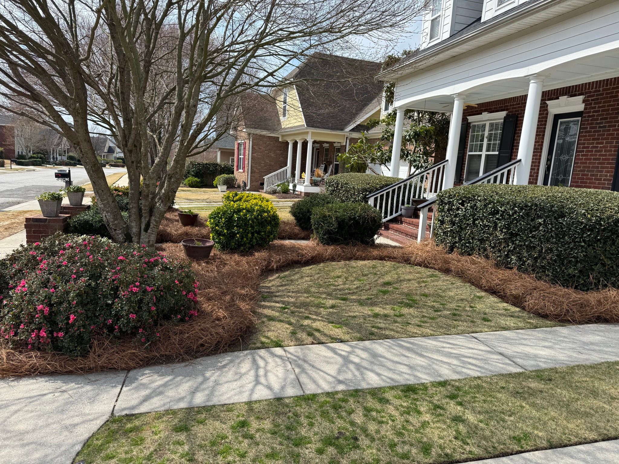  for Myles Mows in Augusta, GA