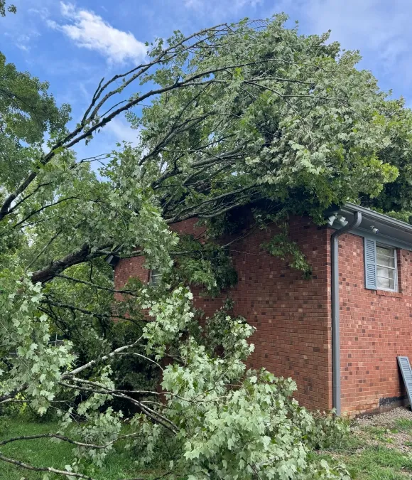  for Patriot Roofing and Home Repair, LLC in Lexington, NC