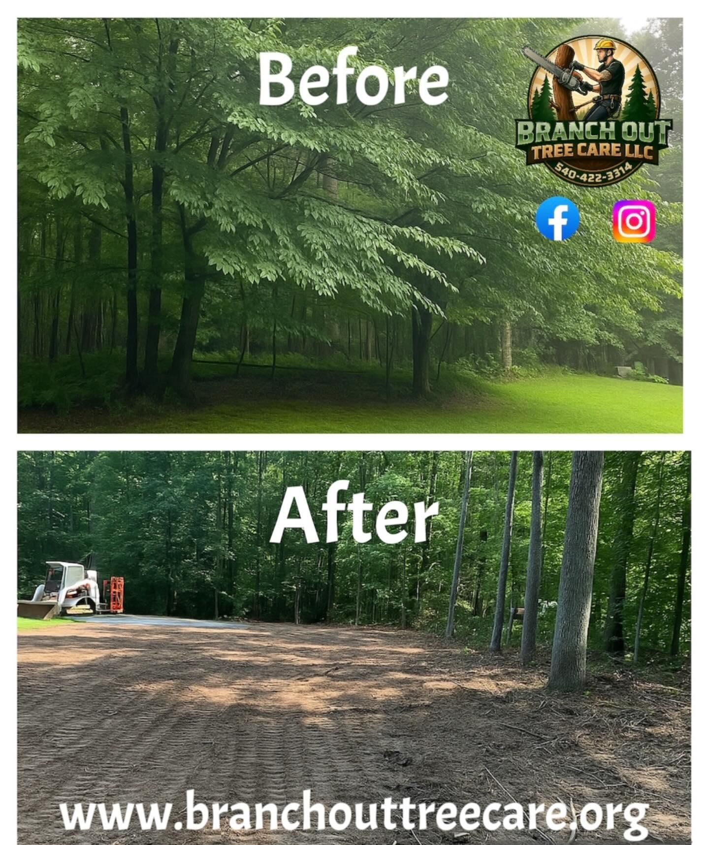  for Branch Out Tree Care LLC in Fredericksburg, VA