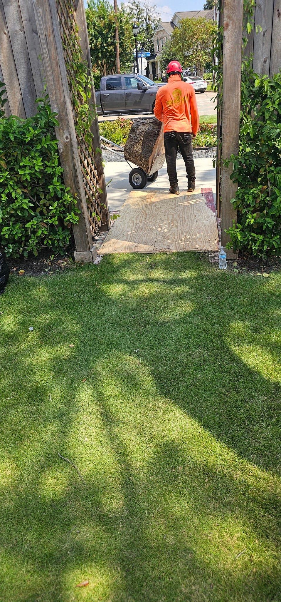  for Servin's Tree Care  in Houston, TX