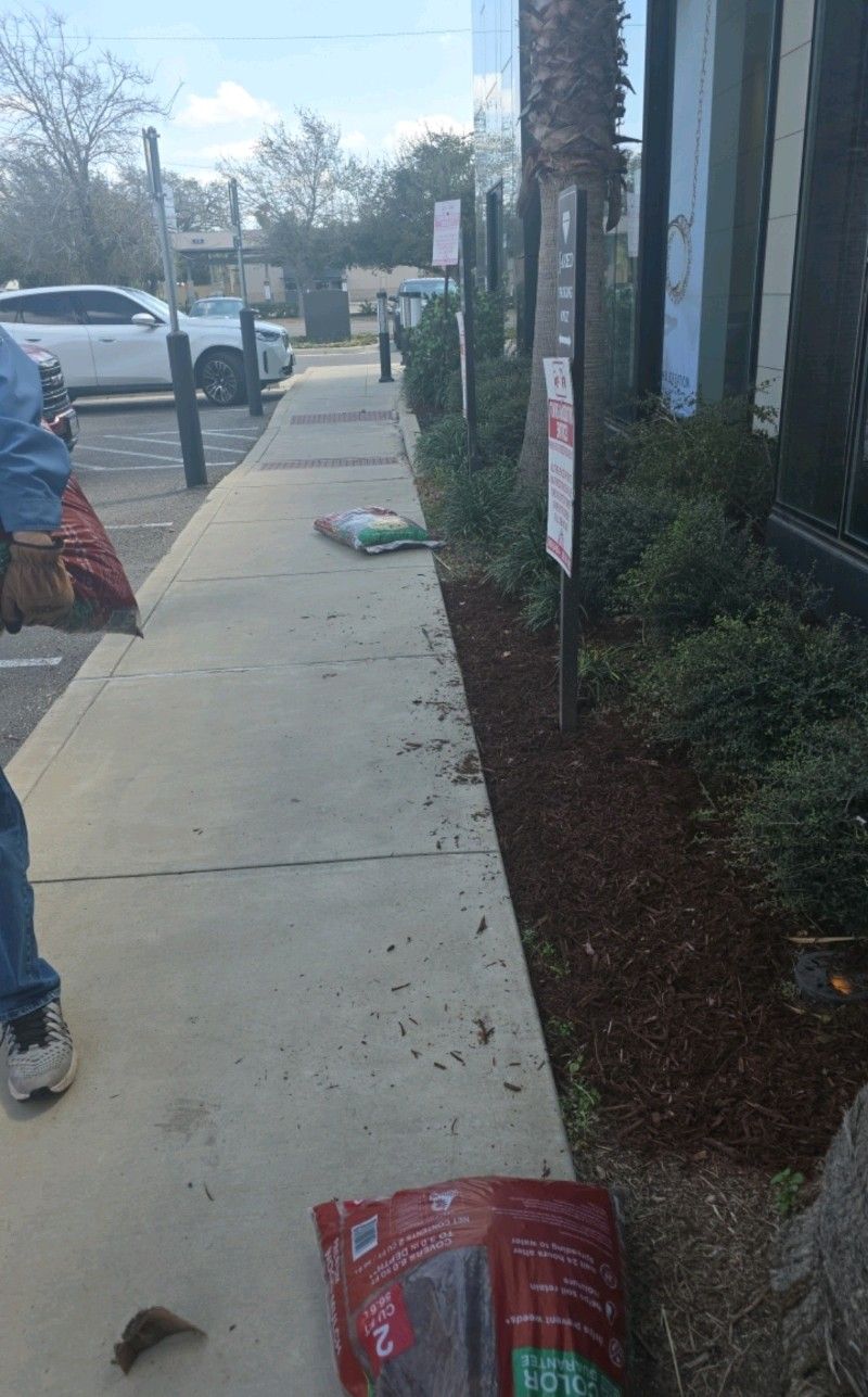  for Pro Lawn Care RGV in McAllen, TX