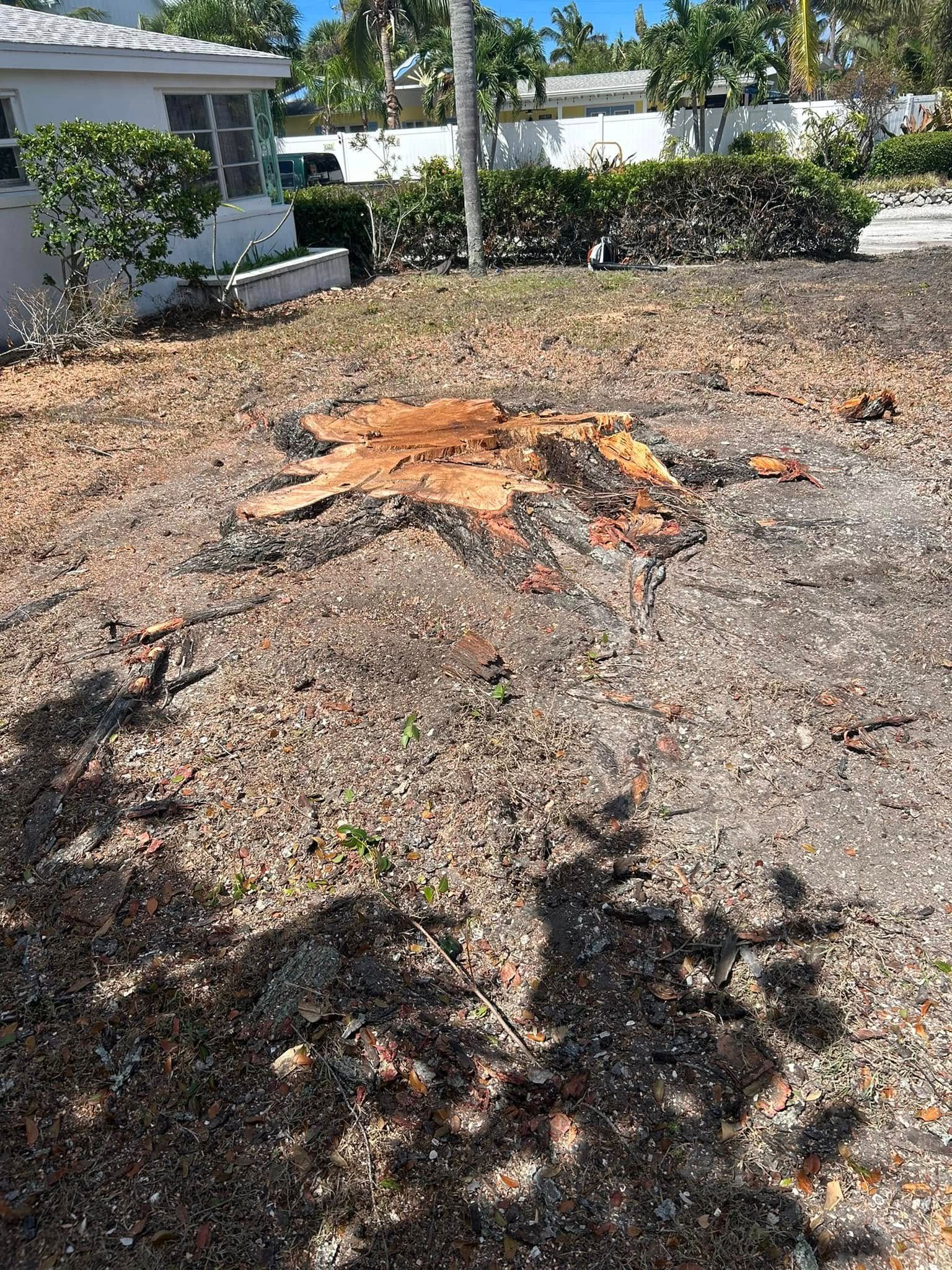  for Grizzly Stump Grinding in Sarasota, FL