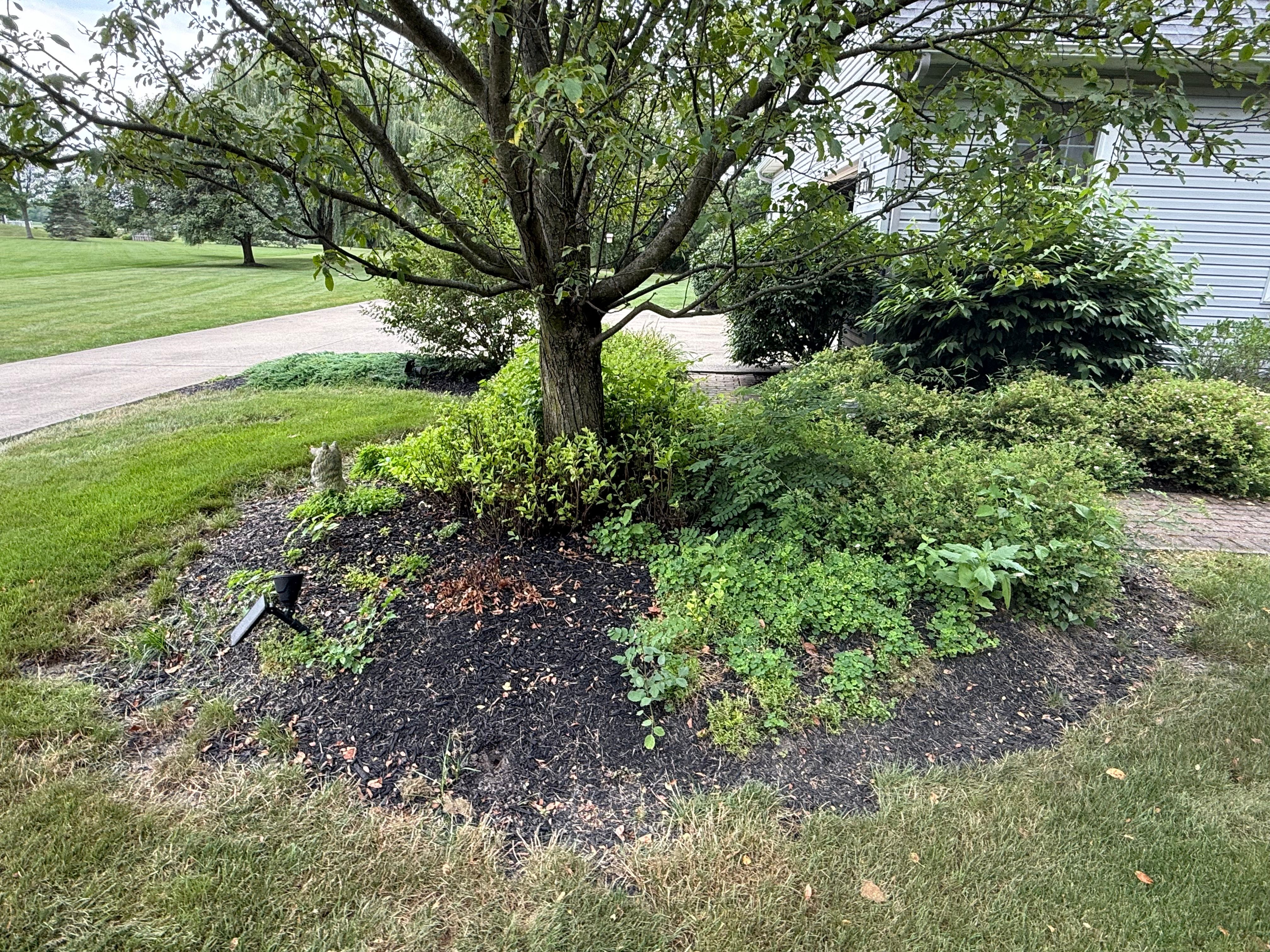  for F&R Landscapes LLC in Lagrange, OH